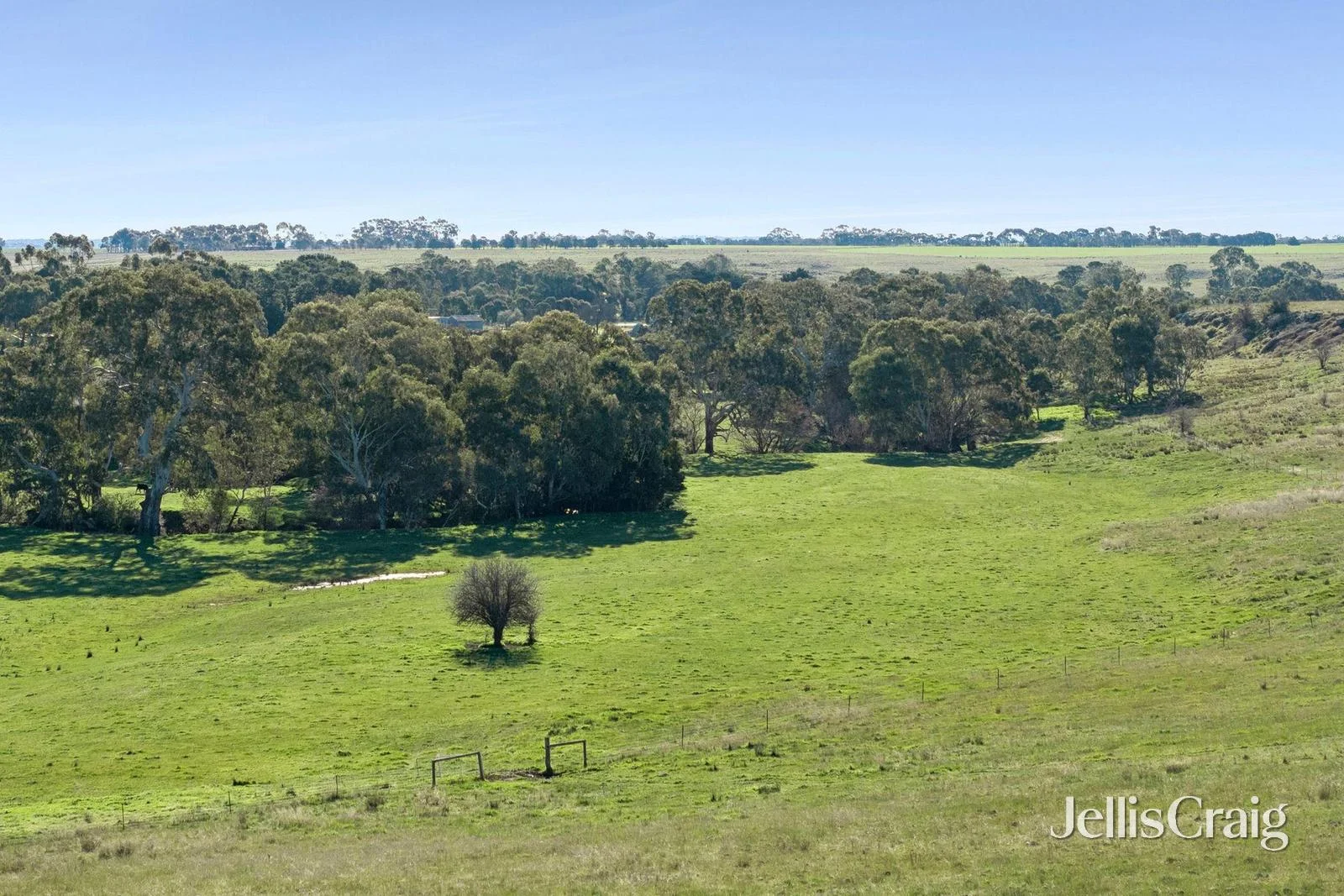 1769 Creswick Newstead Road - Image 5