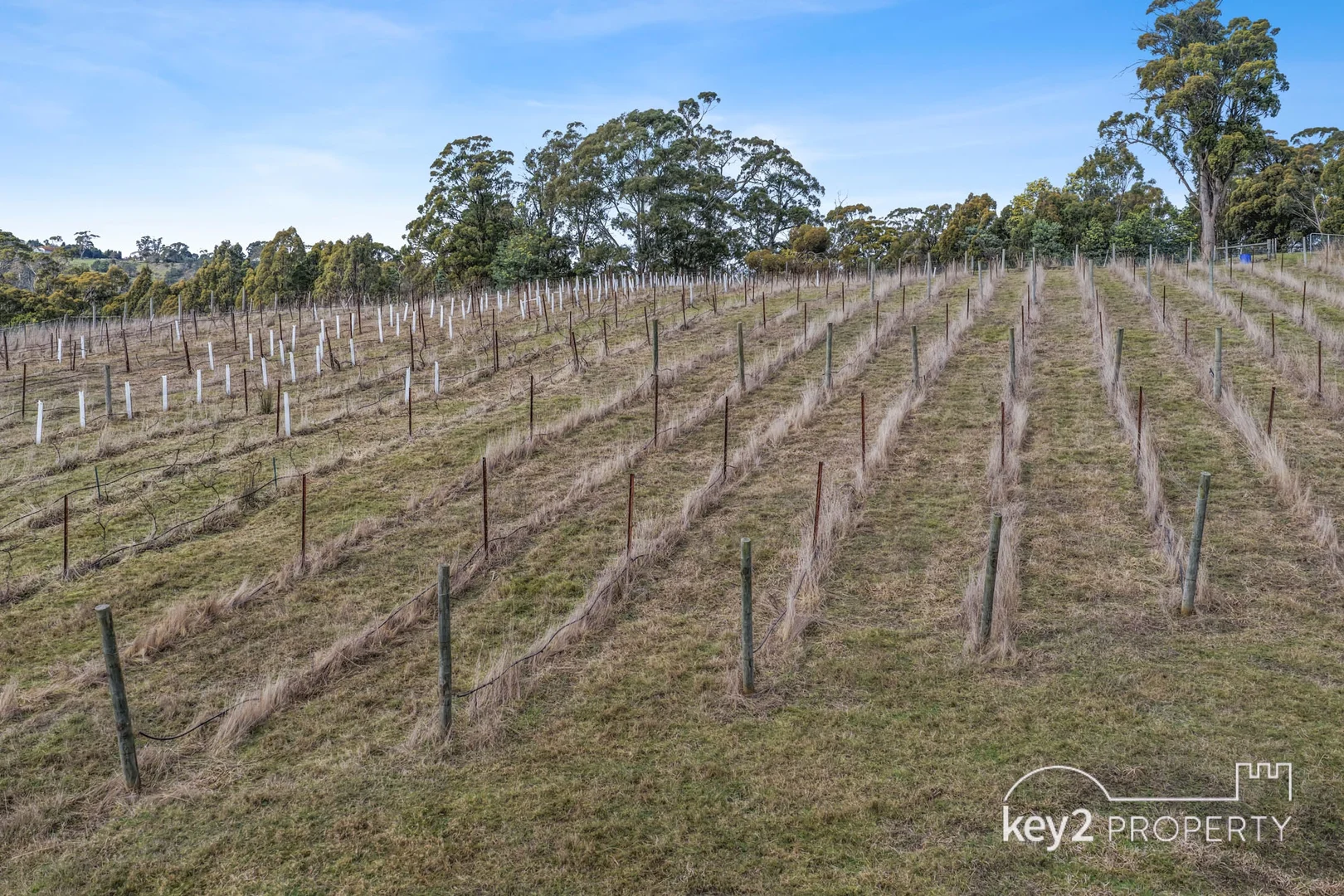 1769 West Tamar Highway - Image 3