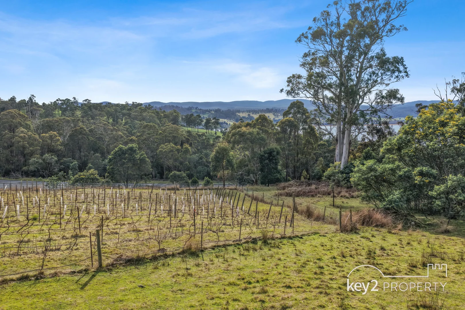 1769 West Tamar Highway - Image 5