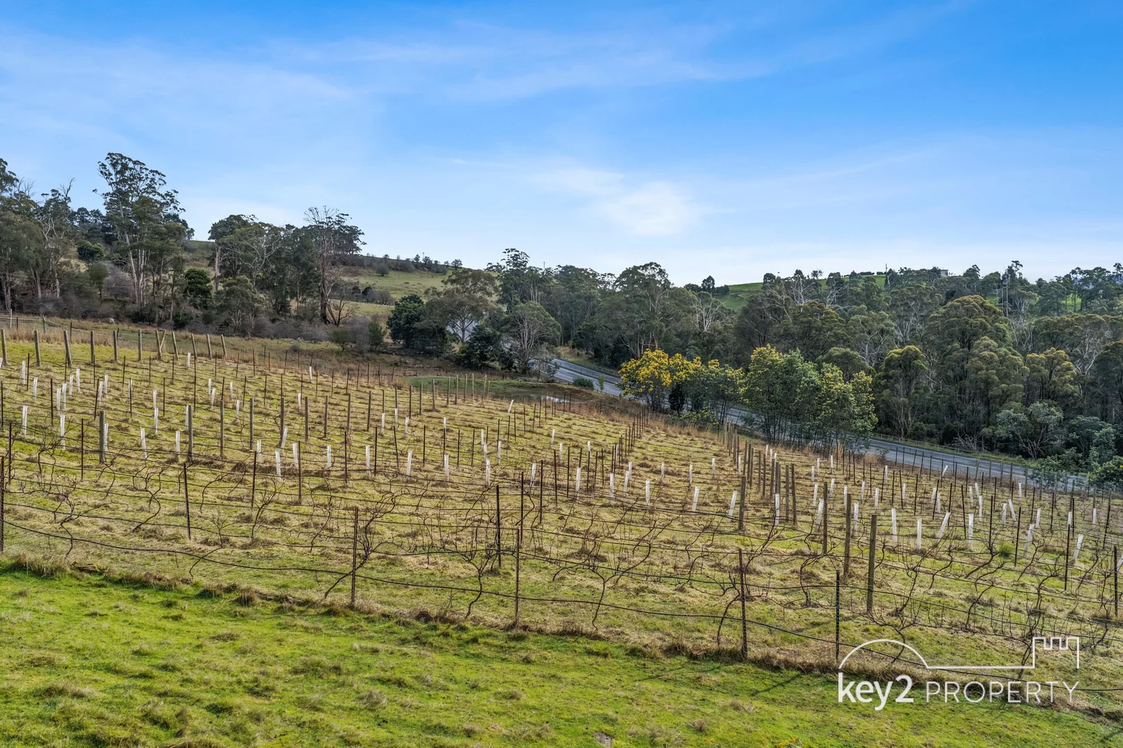 1769 West Tamar Highway - Image 4