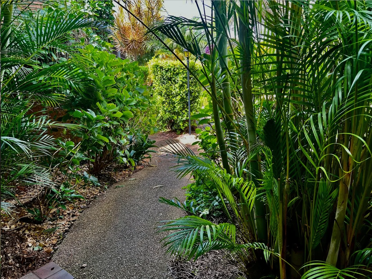 18/16 Mona Vale Rd (1/4)