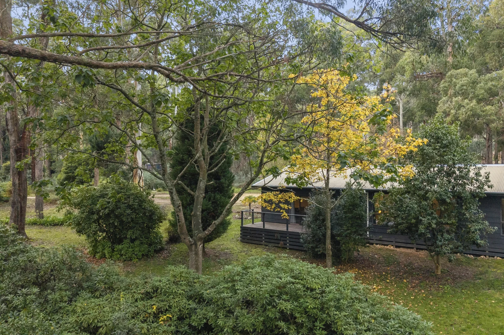 185 Whitegum Drive - Image 2
