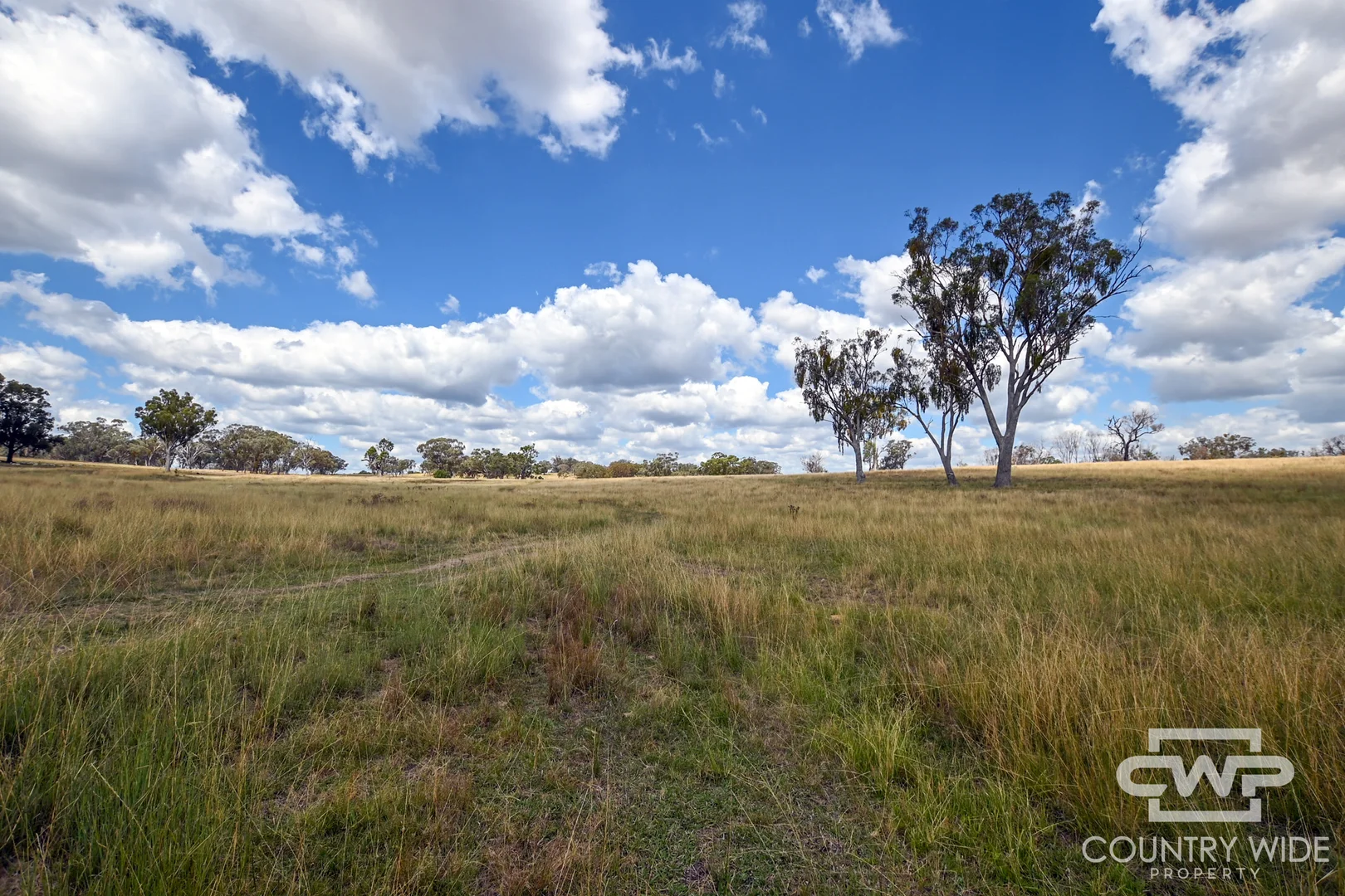 1925 Nullamanna Road - Image 5