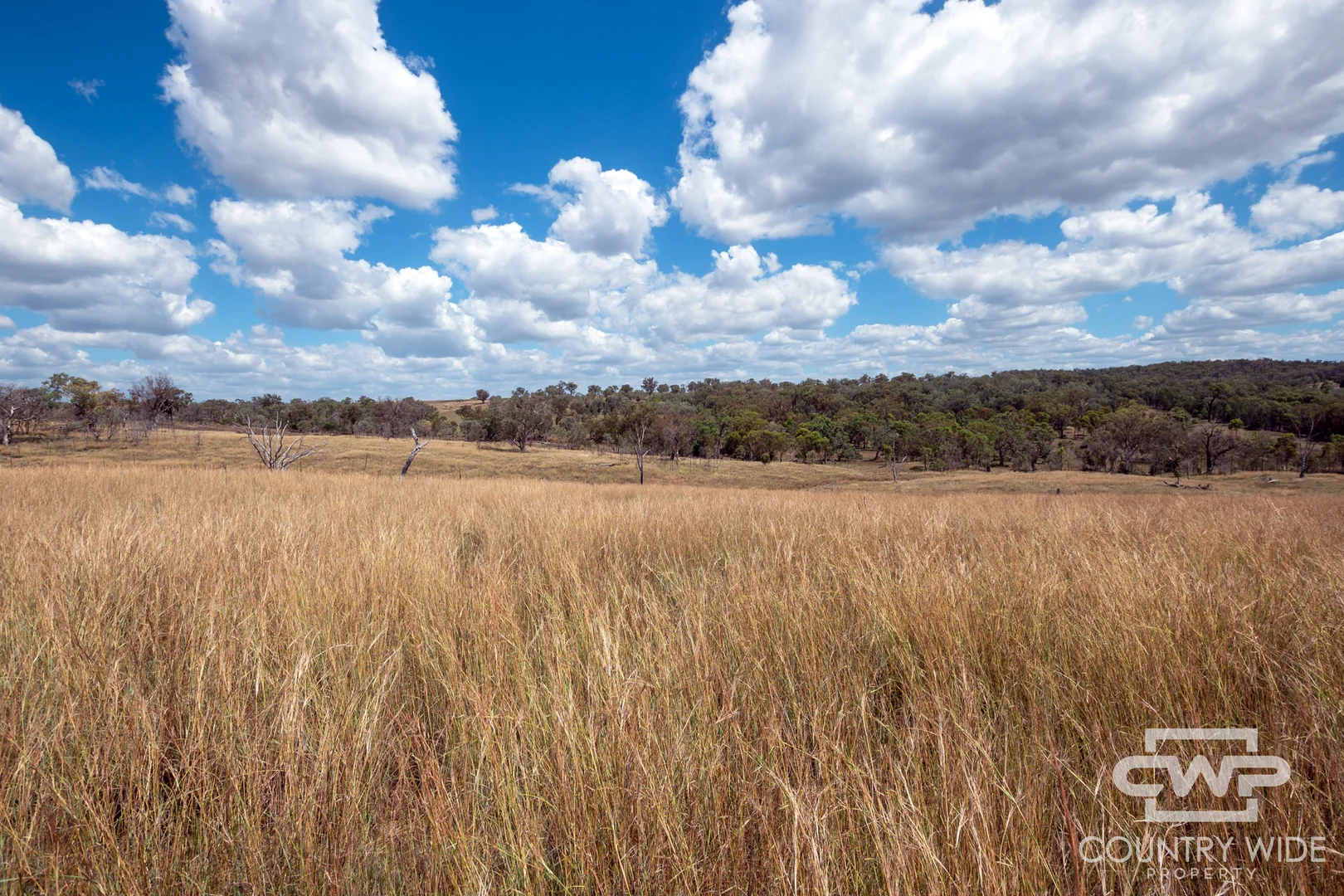 1925 Nullamanna Road - Image 4