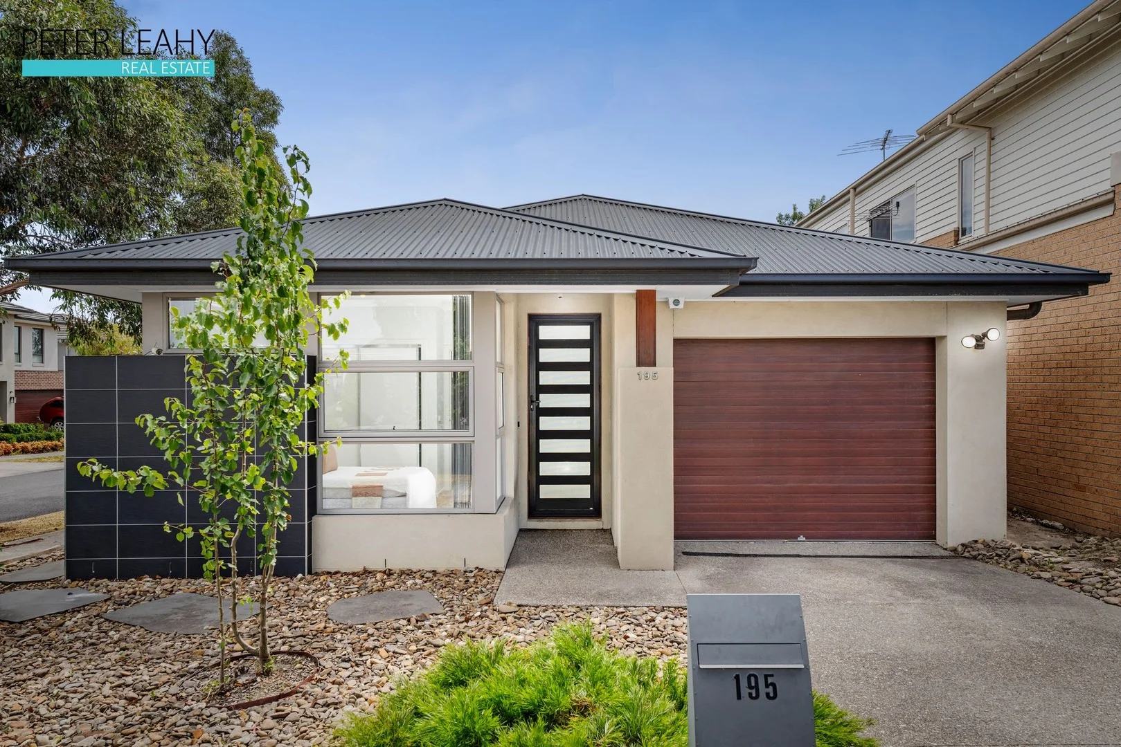 195 Elizabeth Street (1/19)