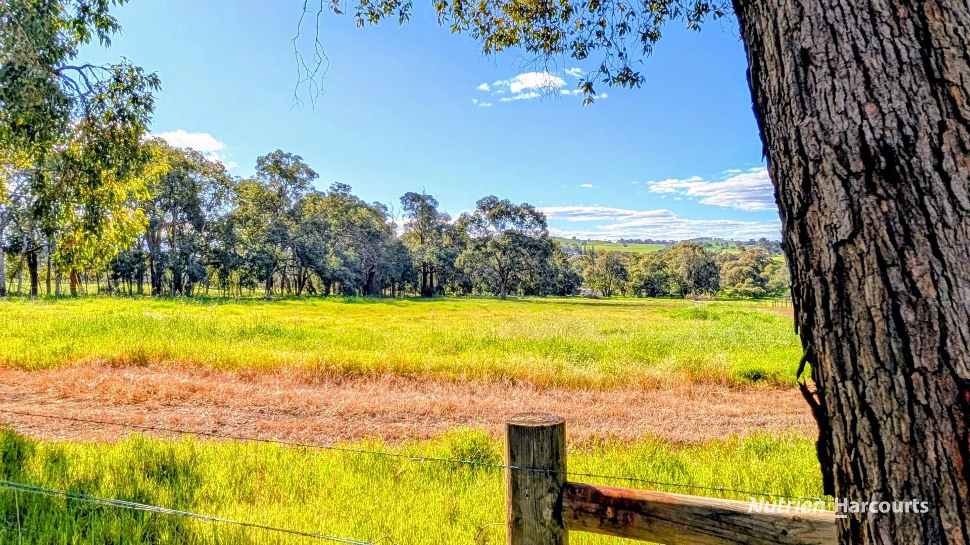 2 (Lot 201) Lefroy Street (1/13)