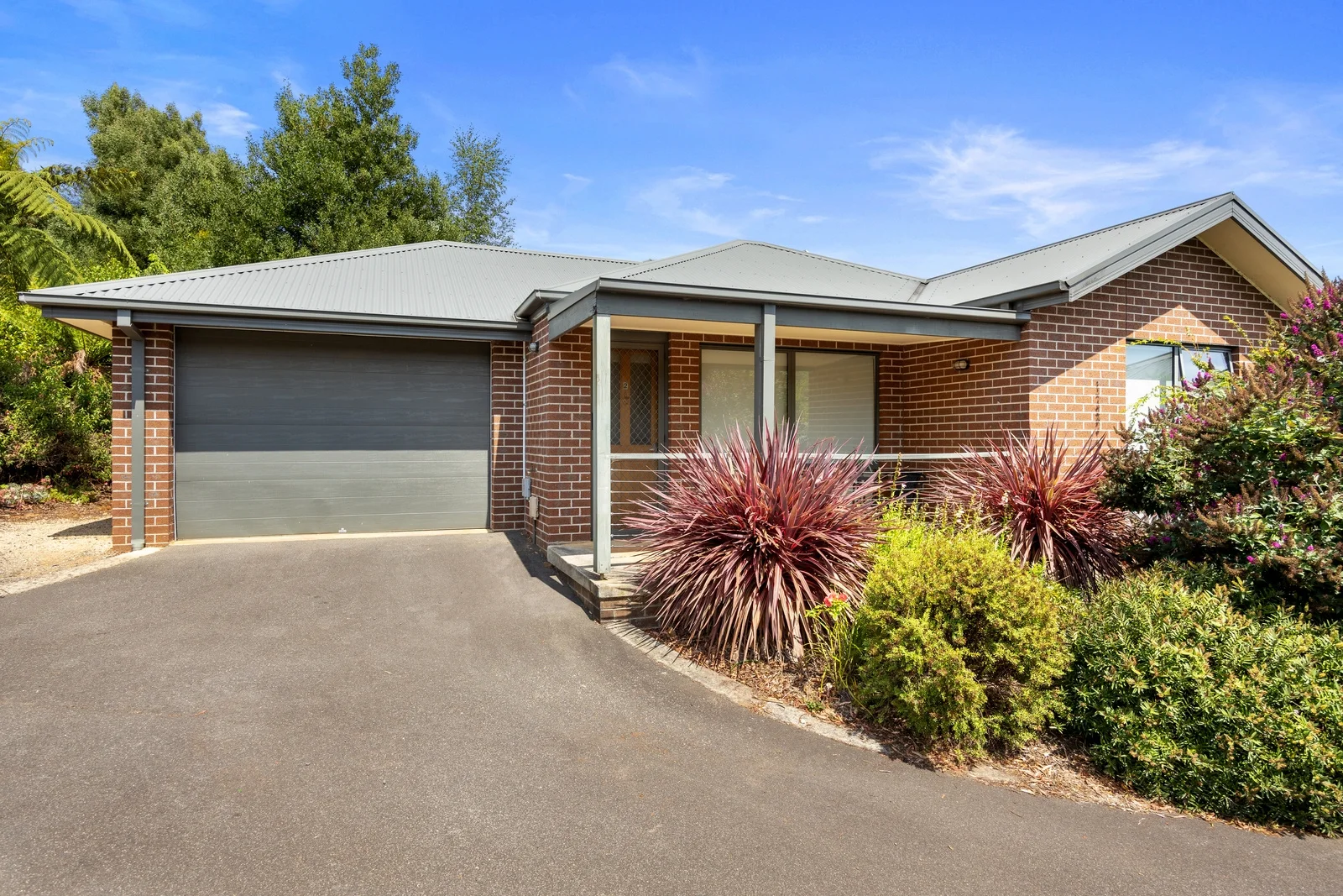 2/4-6 Sedgwick Street (1/12)