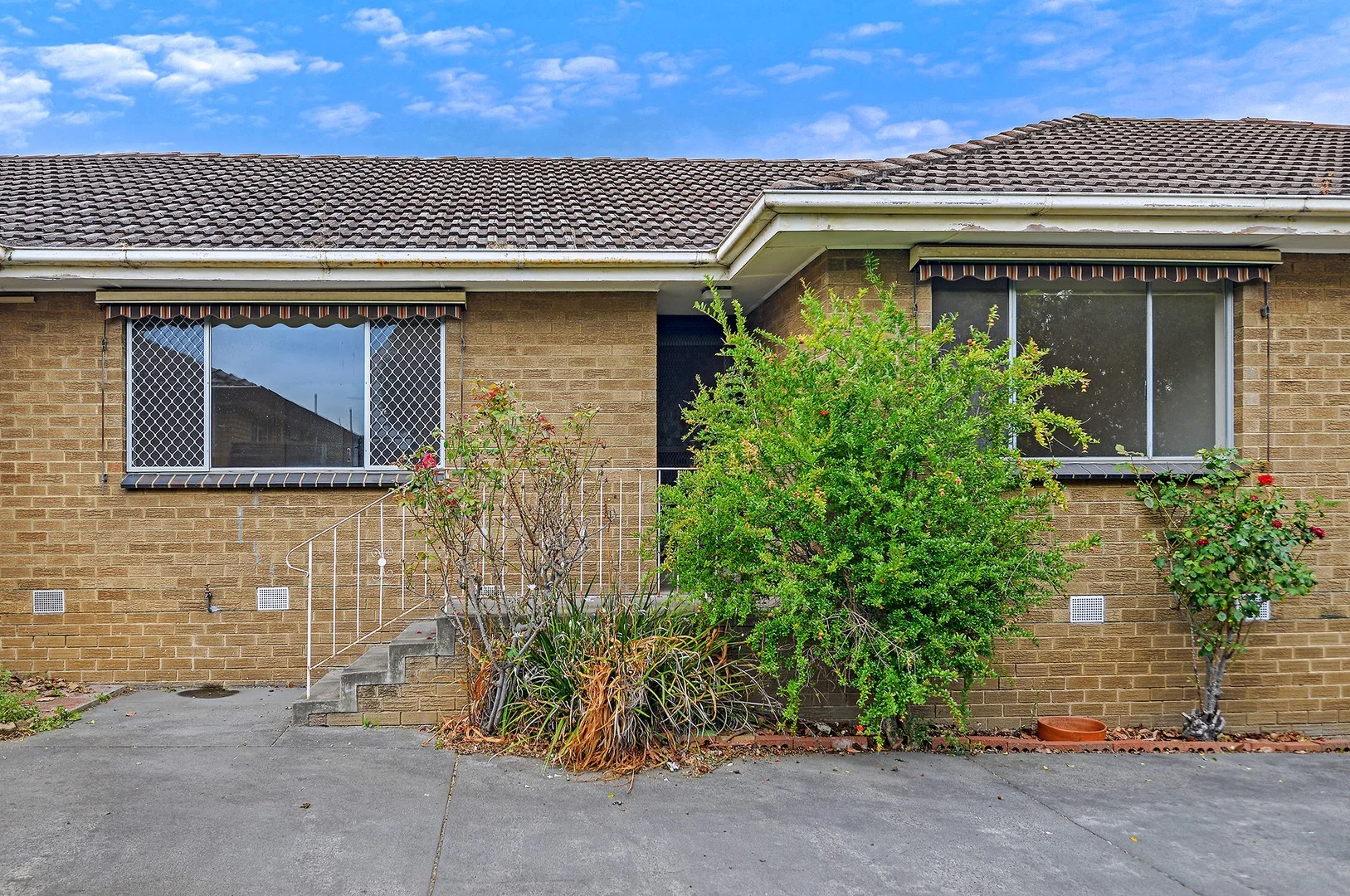 2/9 Kane Street (1/11)