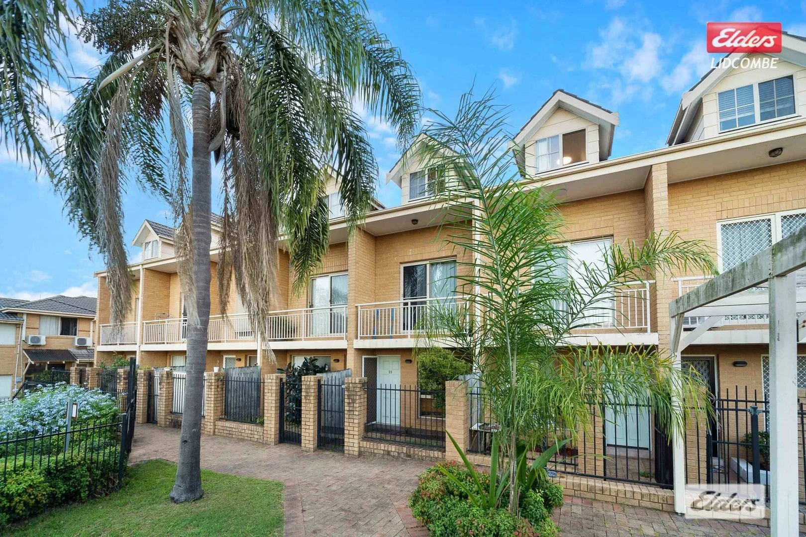 20/58-64 Frances Street (1/13)
