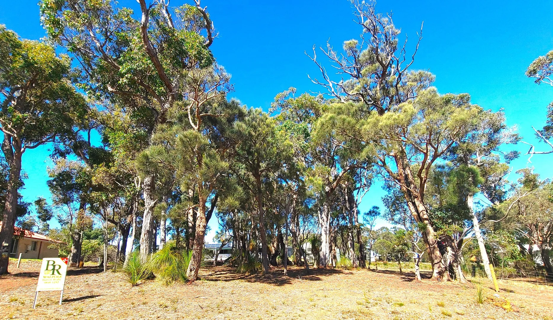 20 McCallum Way (1/9)