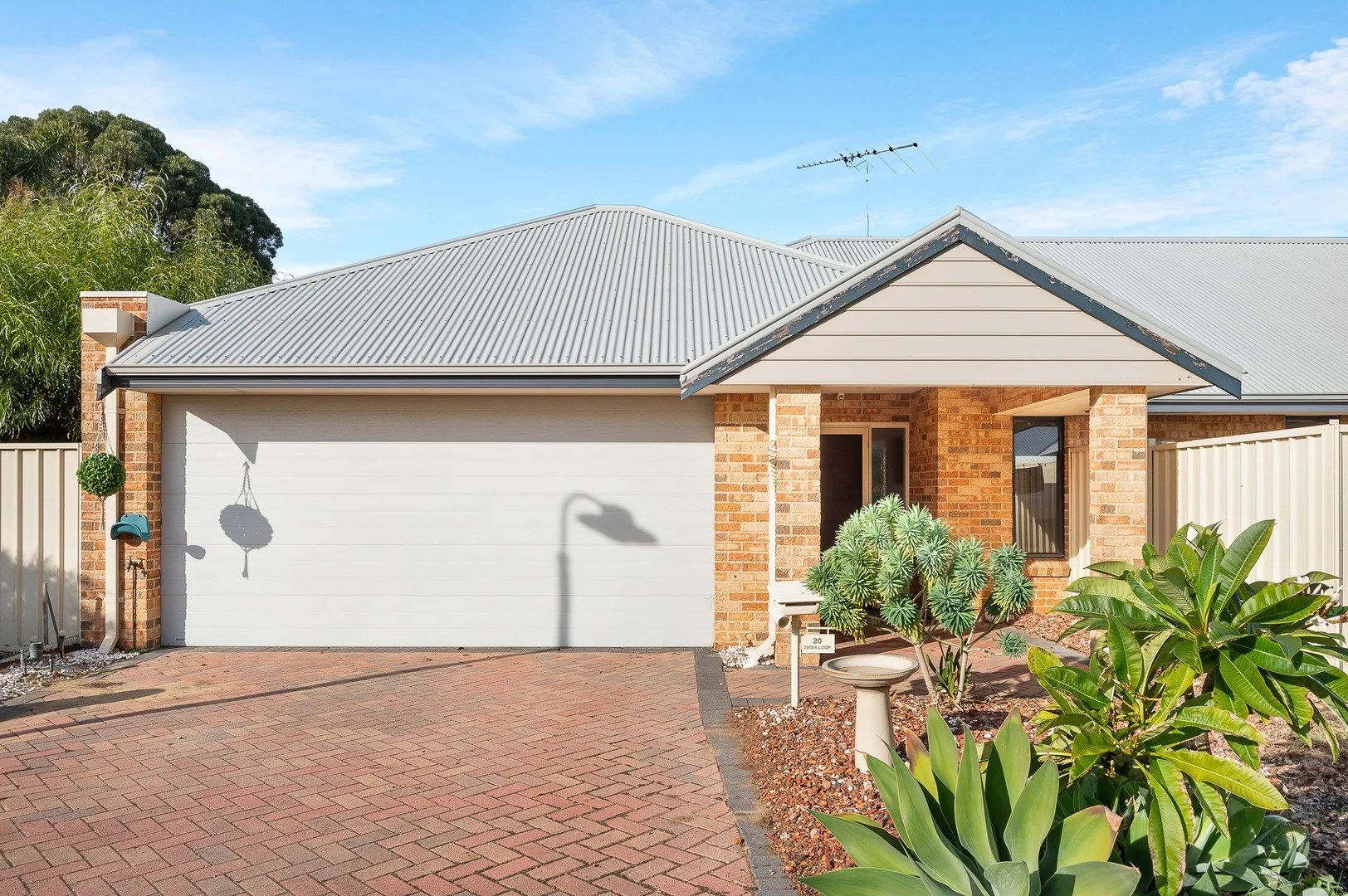 20 Zamia Loop (1/25)
