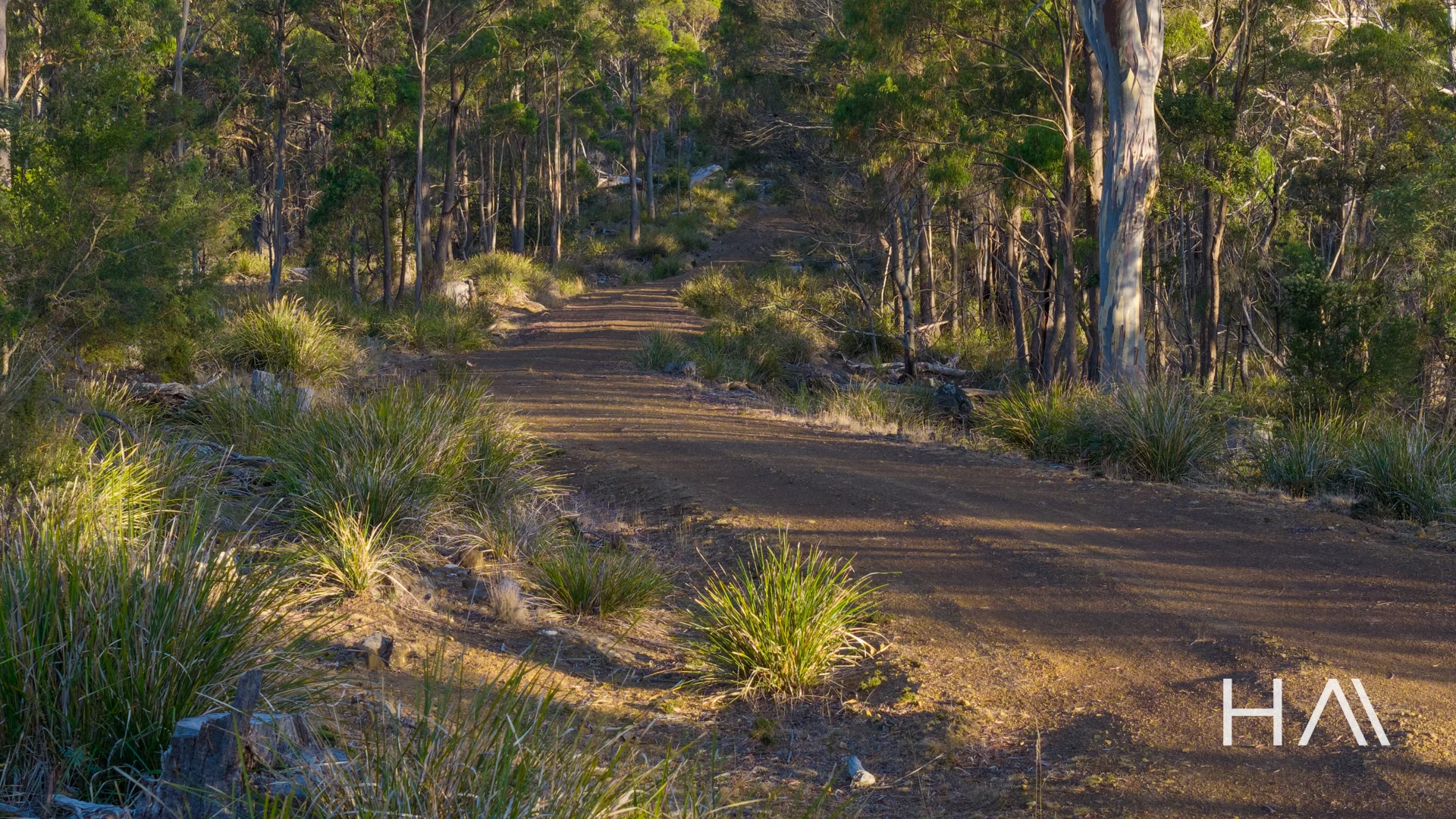 200 Loriwood Drive - Image 5
