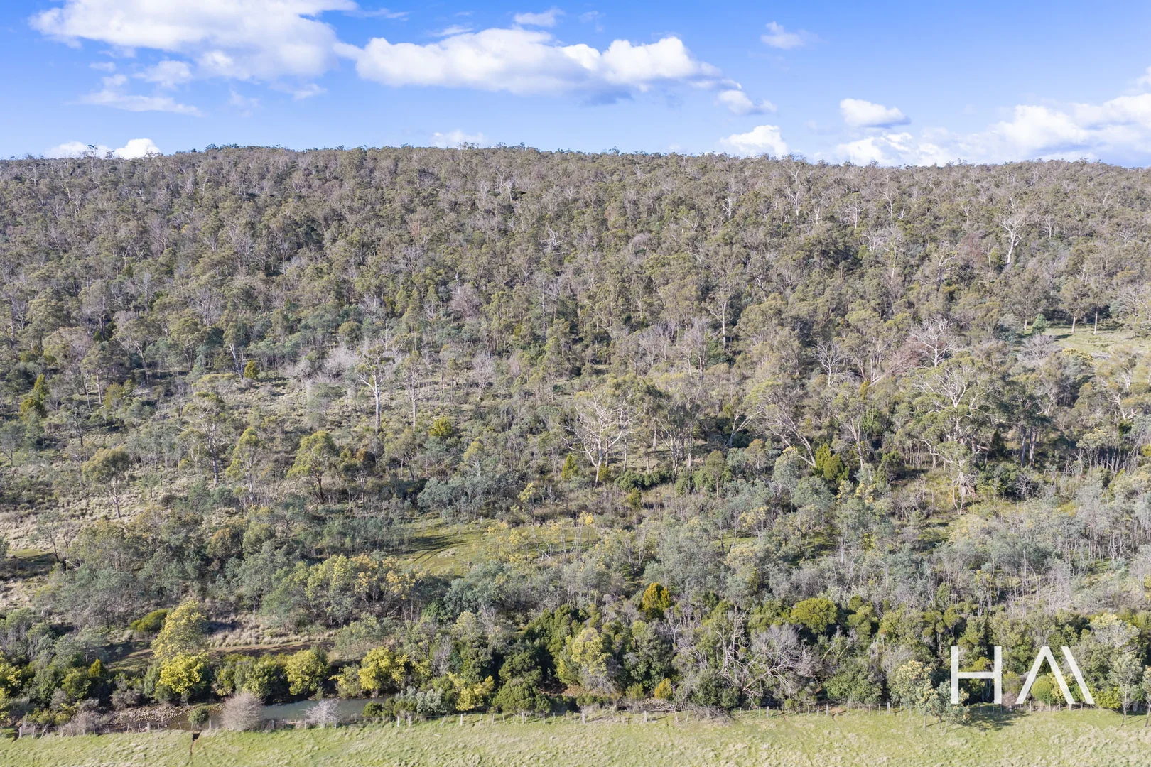 202 Lilydale Road - Image 5