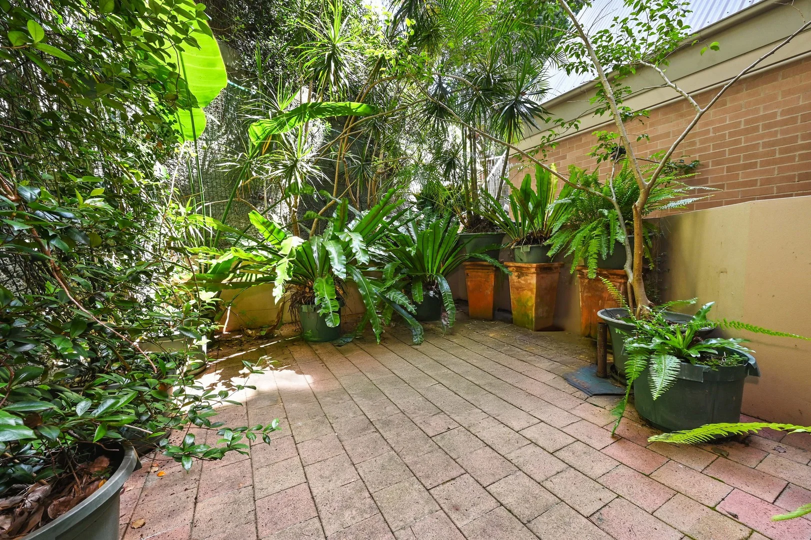 204/57-63 Coogee Bay Road (1/1)