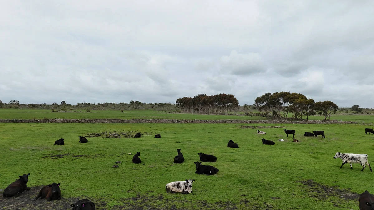205 South Cundare Road - Image 3