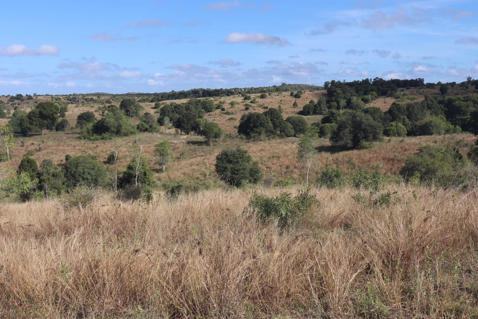 20963 Burnett Highway - Image 2