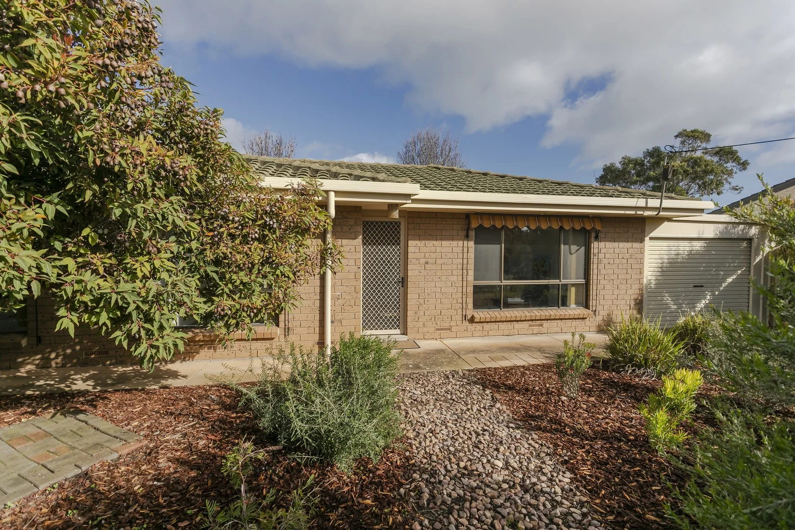20a Walsh Street (1/20)