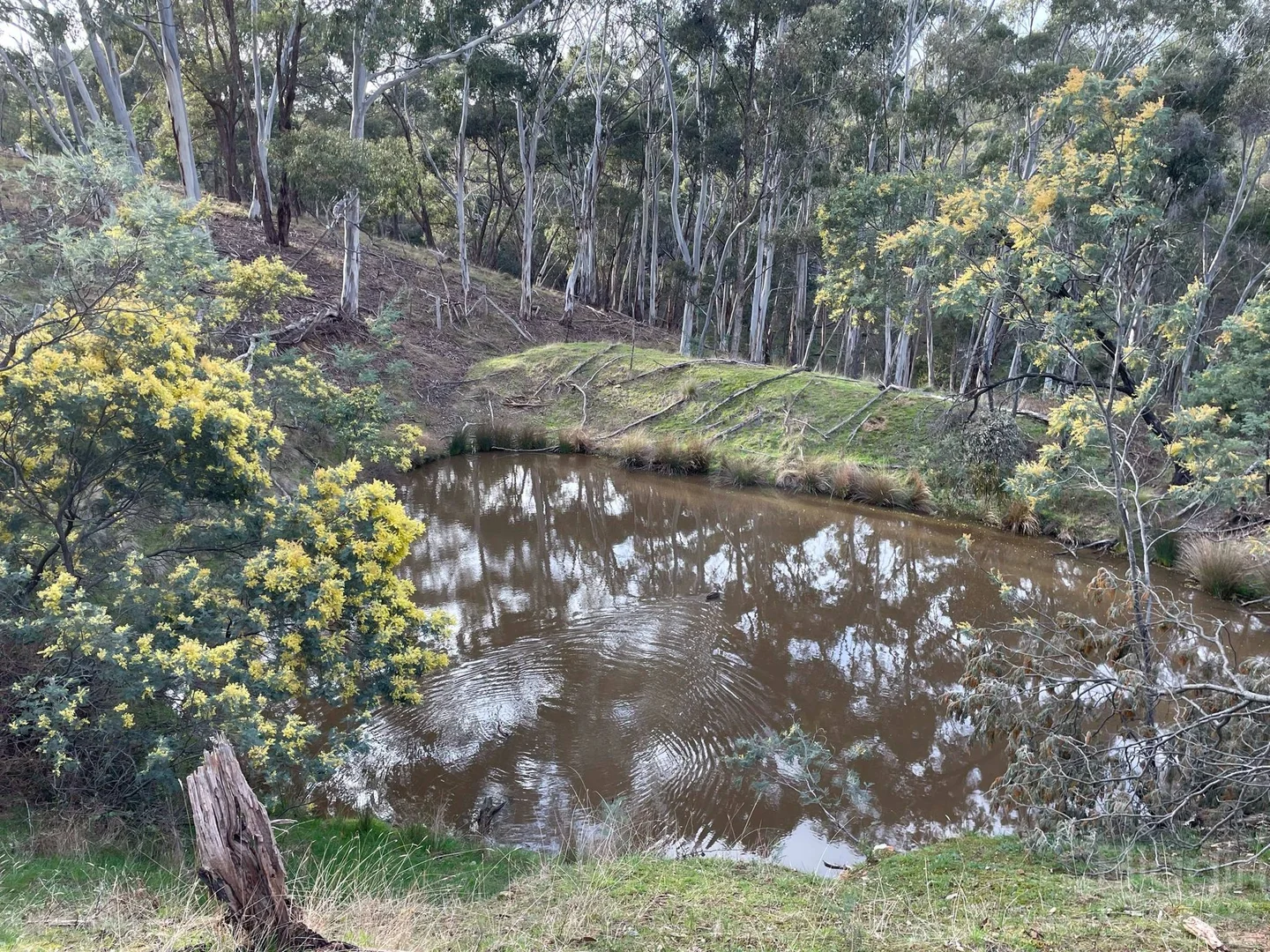 210 & 230 Mannings Road - Image 2