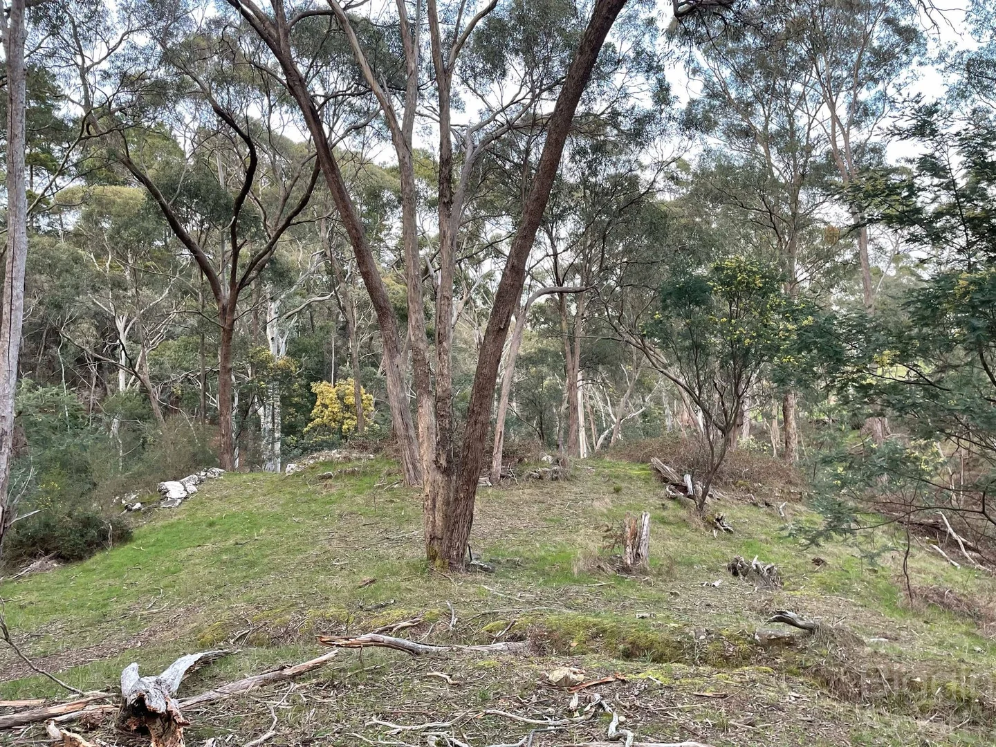 210 & 230 Mannings Road - Image 4