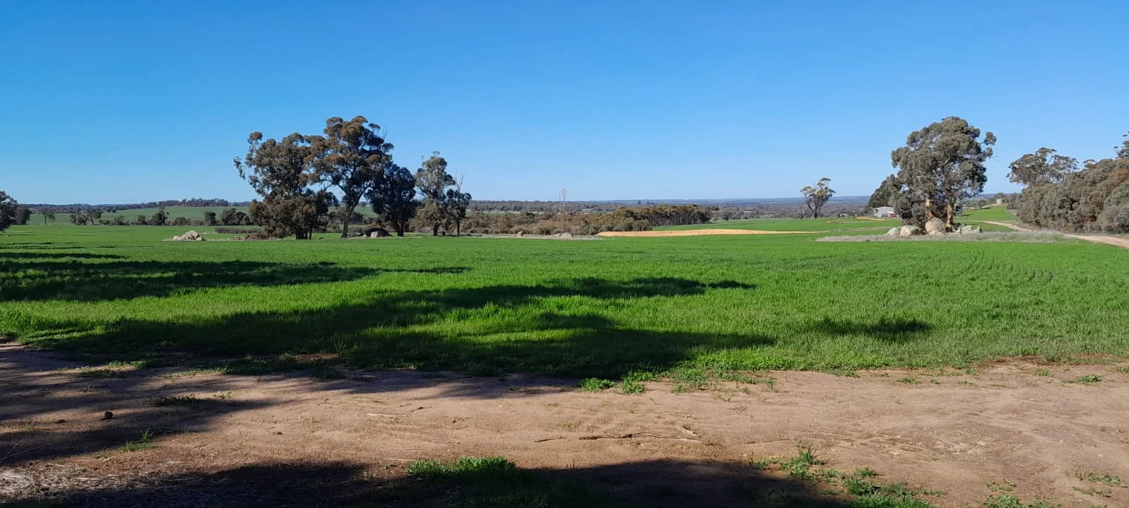 210 Yenellin Road (1/16)
