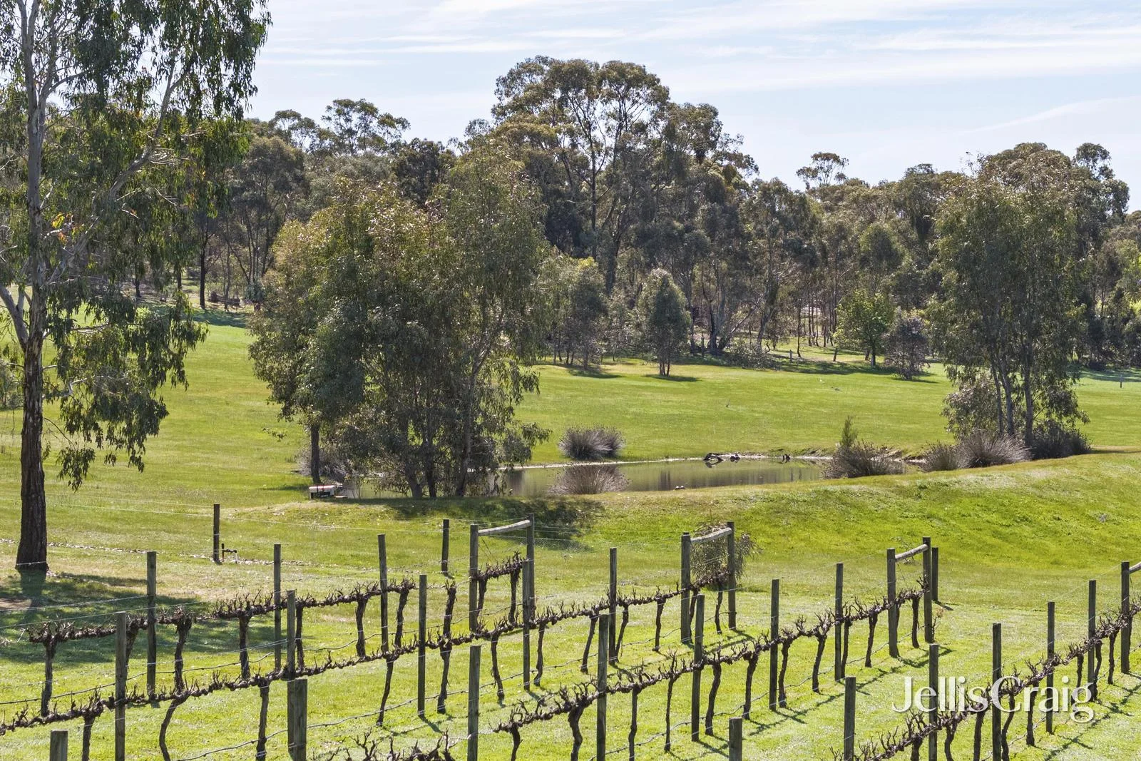 213 Mia Mia Road - Image 2