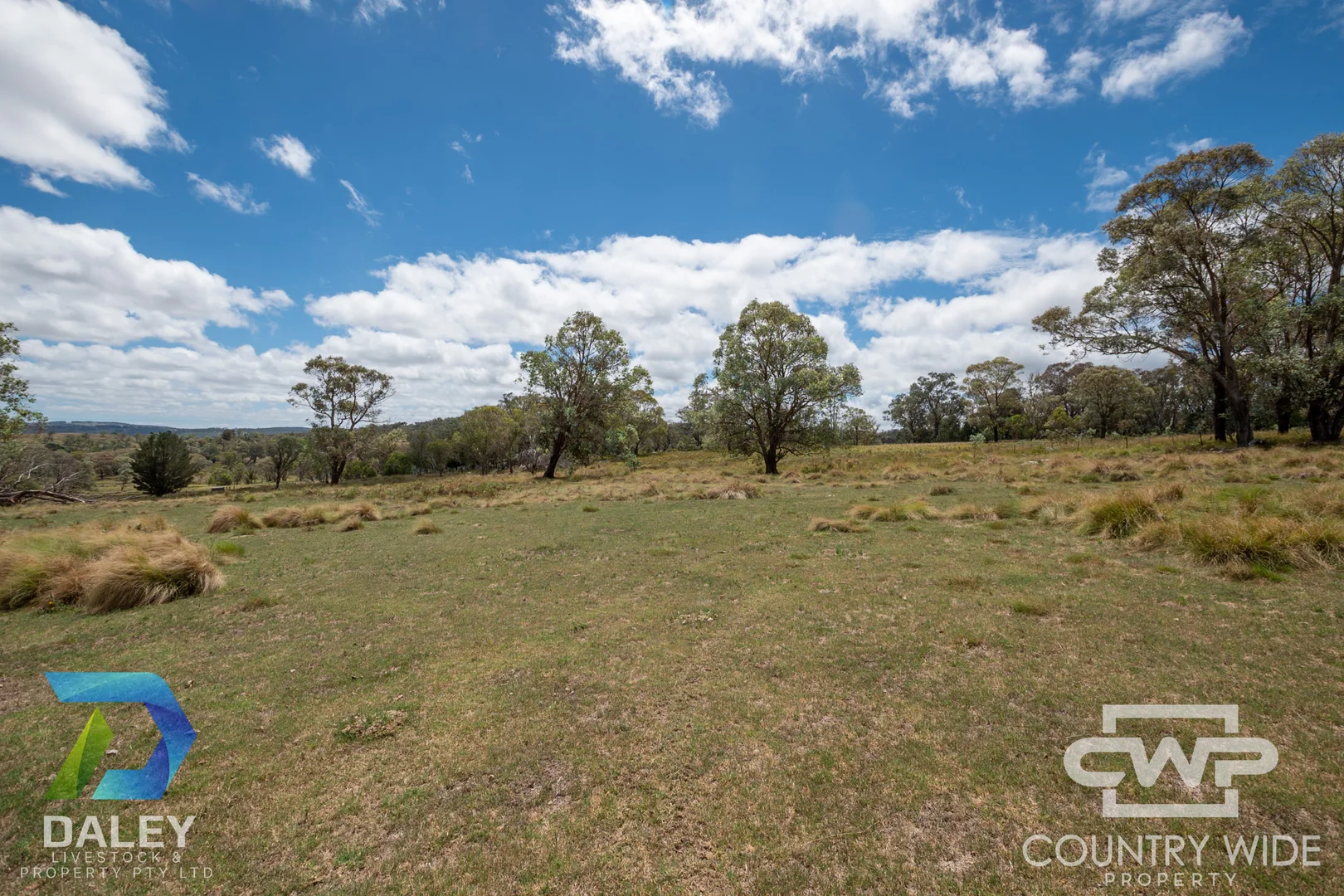 214 - Image 4