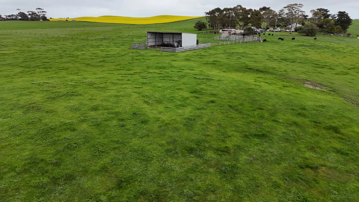 215 Cundare-Duverney Road - Image 5