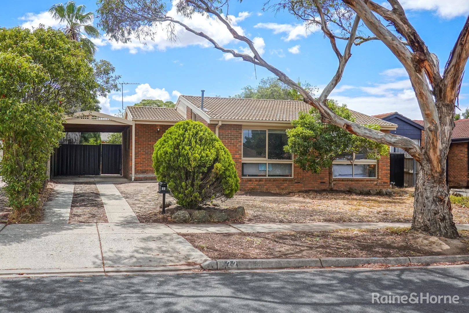22 Marjorie Avenue (1/15)