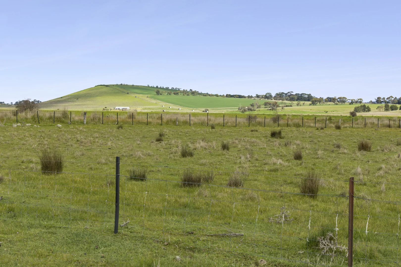 220 Creswick Road - Image 5