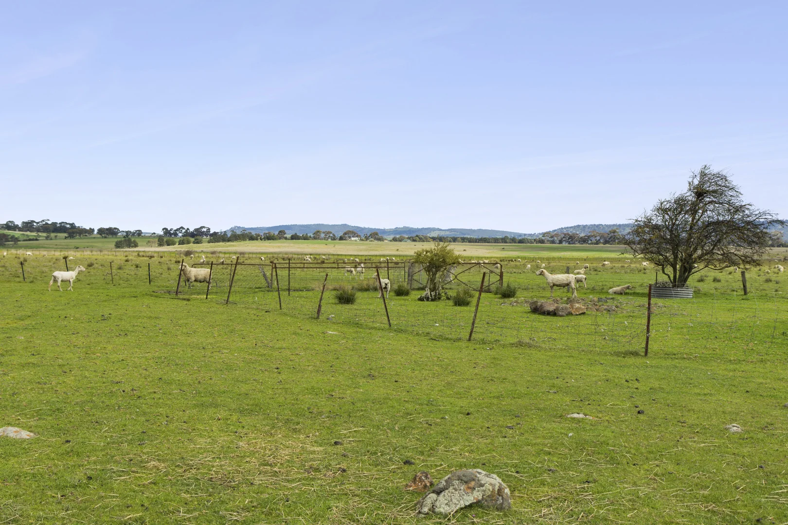 220 Creswick Road - Image 3
