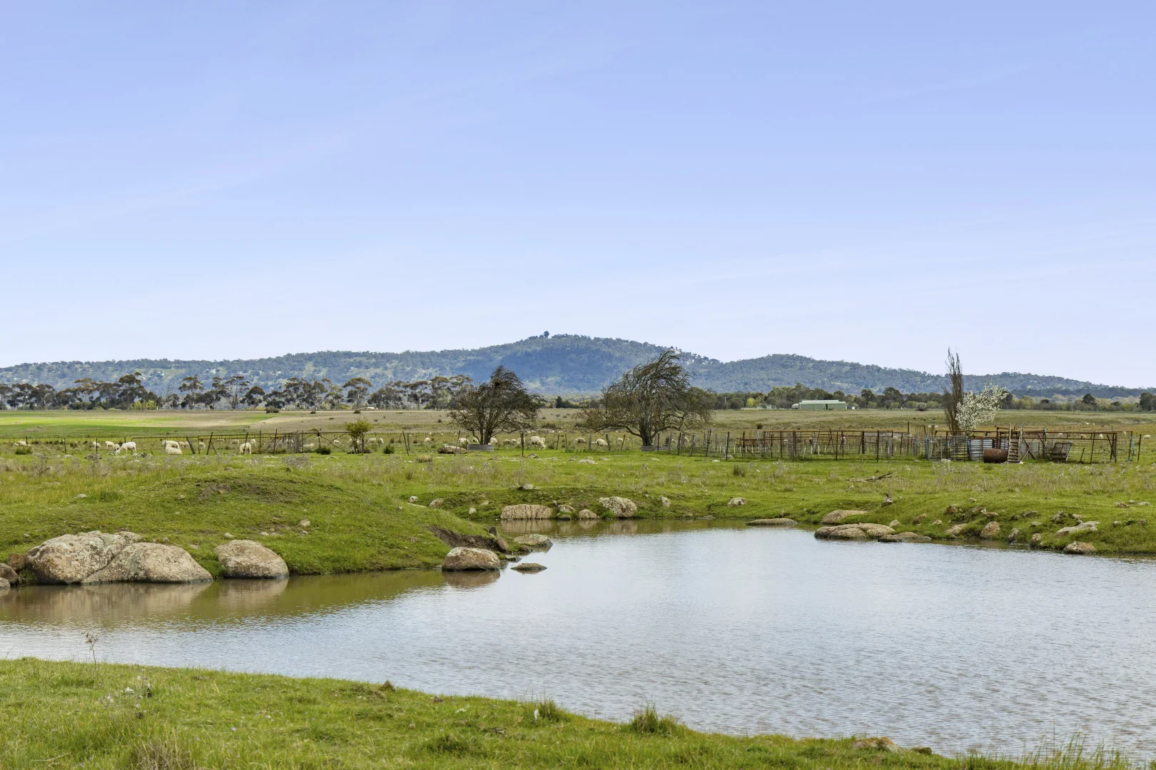220 Creswick Road - Image 2