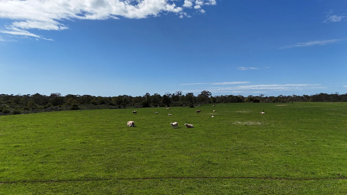 220 Harlocks Road - Image 3