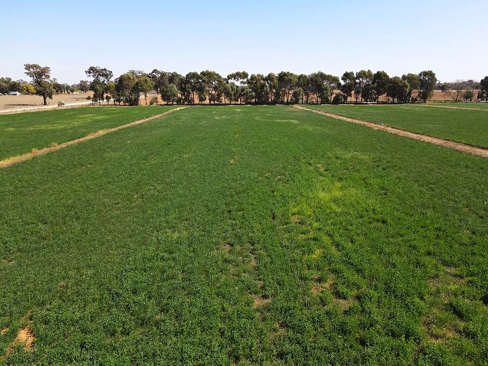 220 McGrath Road - Image 5