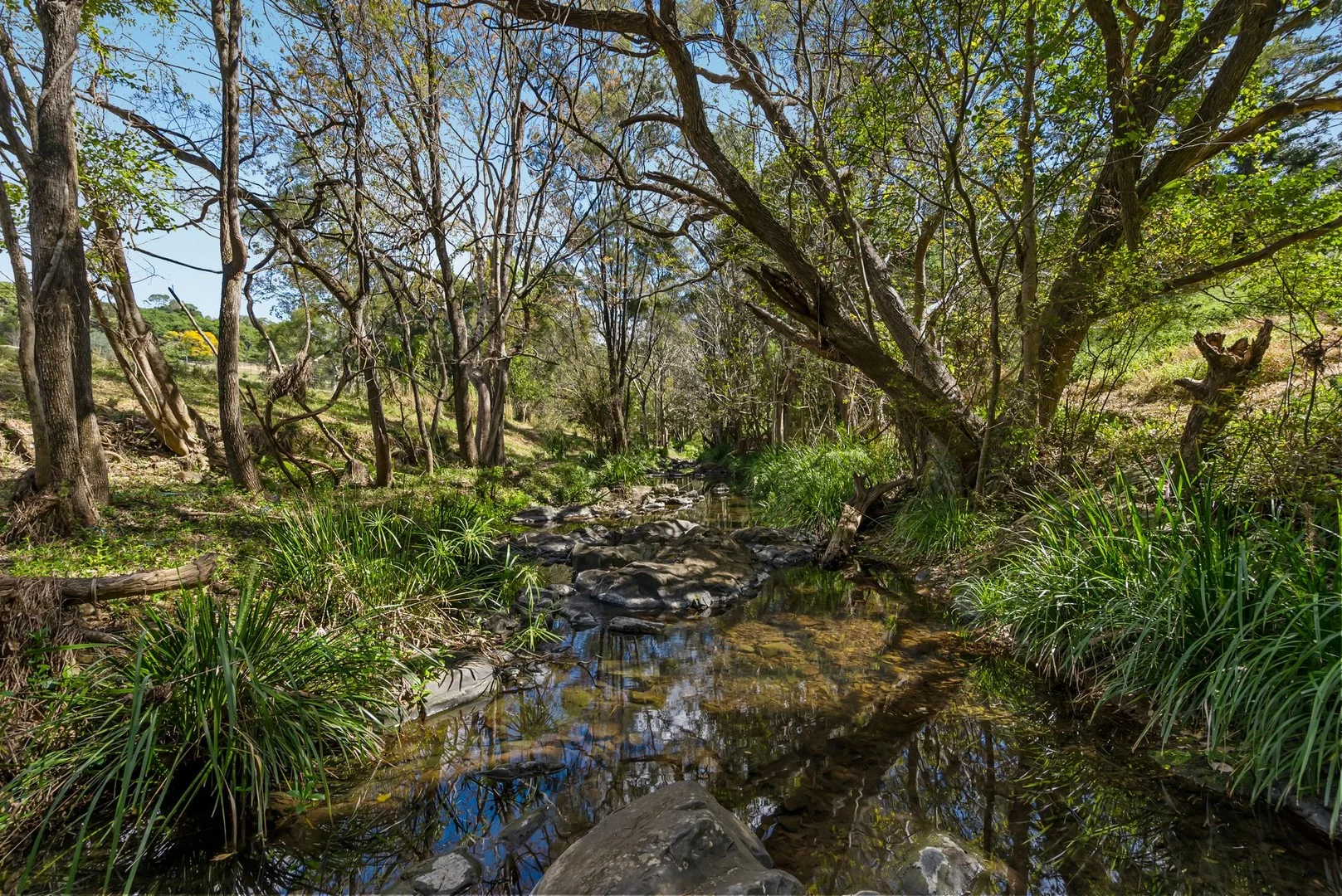 220 Upper Brookfield Road (1/30)