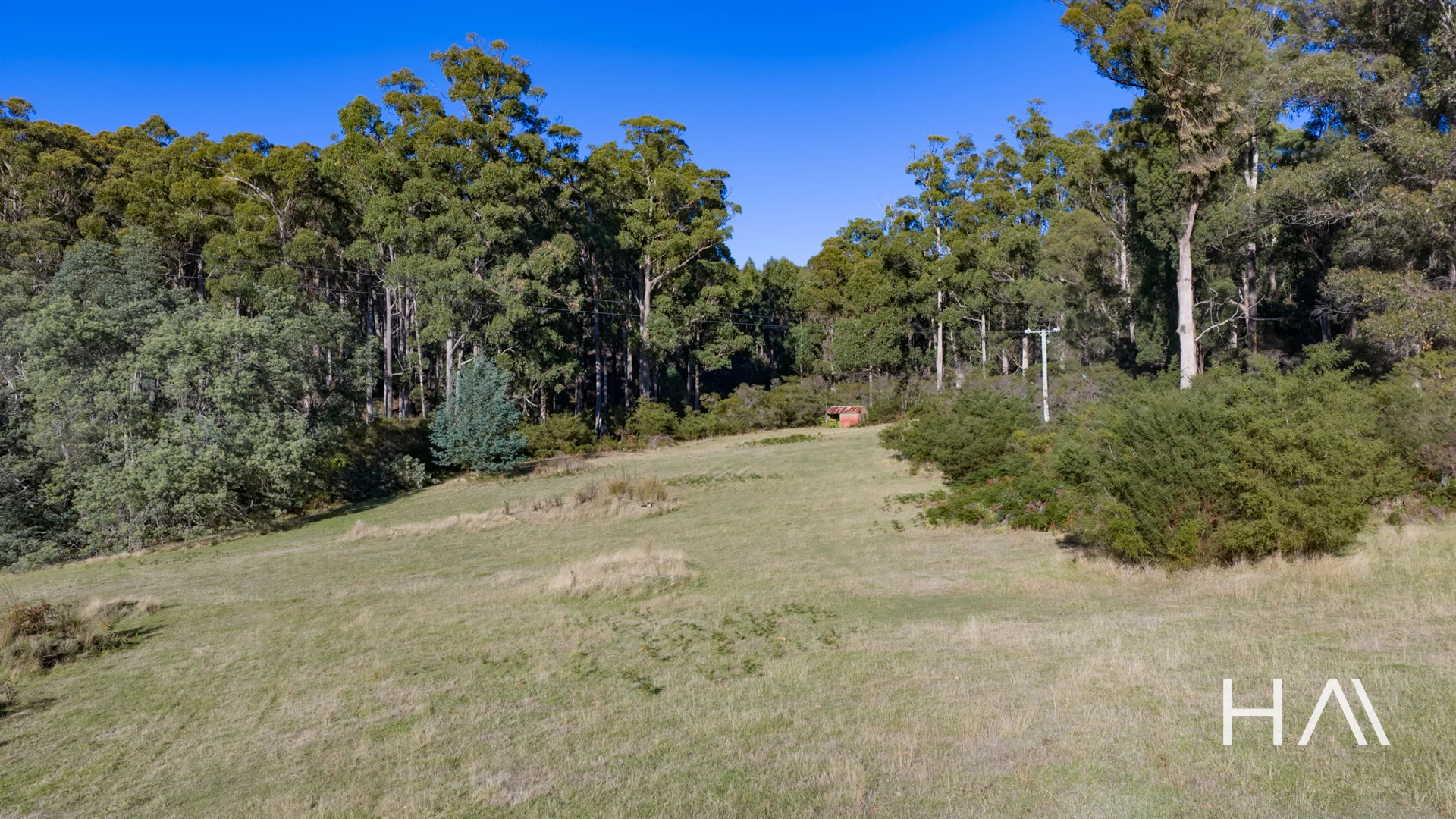 2235 Pipers River Road - Image 4