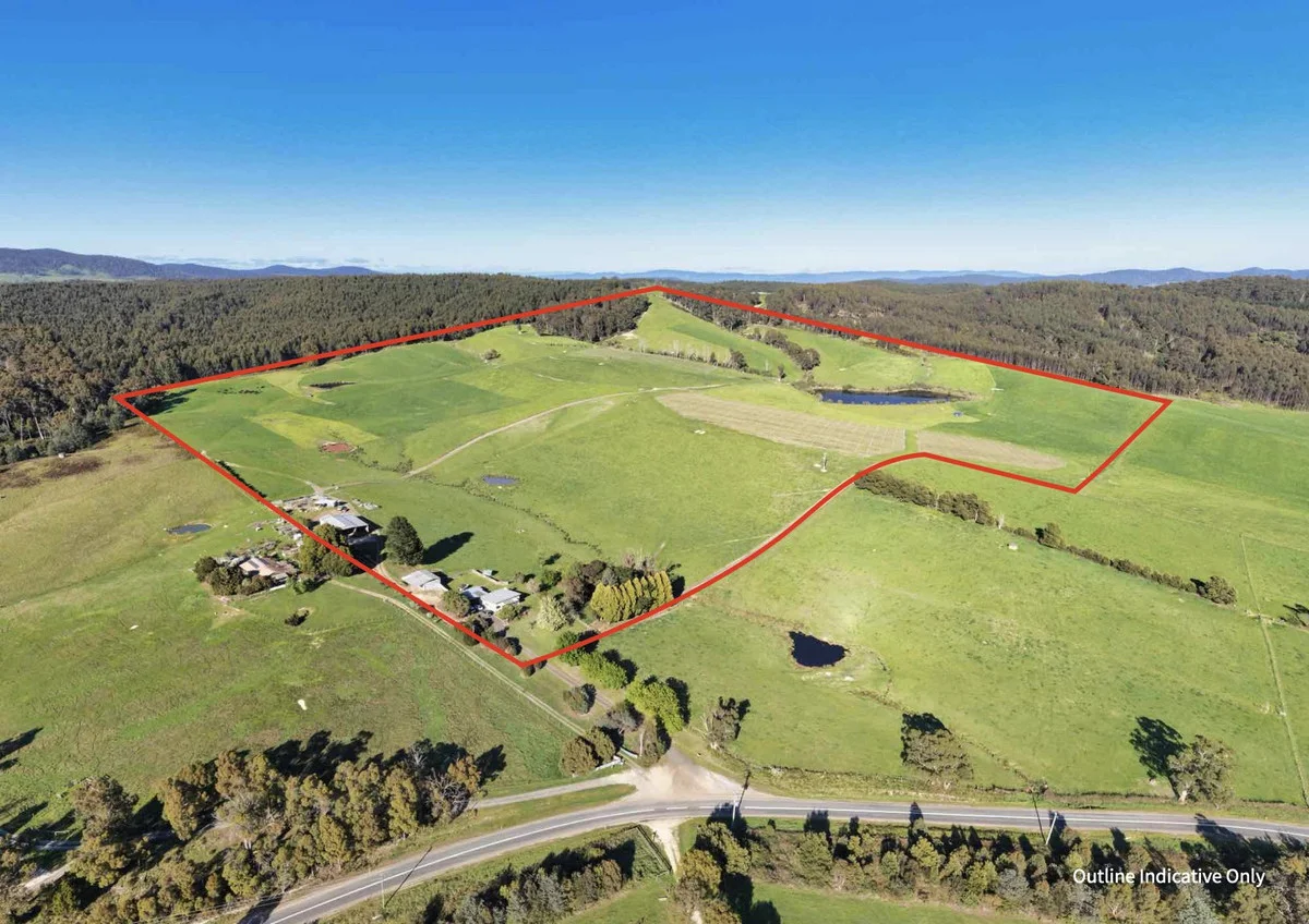 2241 Pipers River Road (1/3)