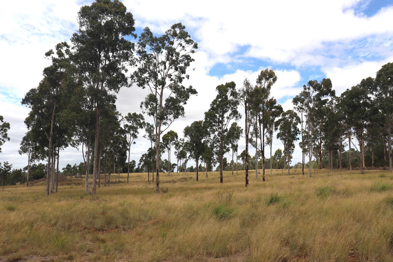 225 Beils Road - Image 5