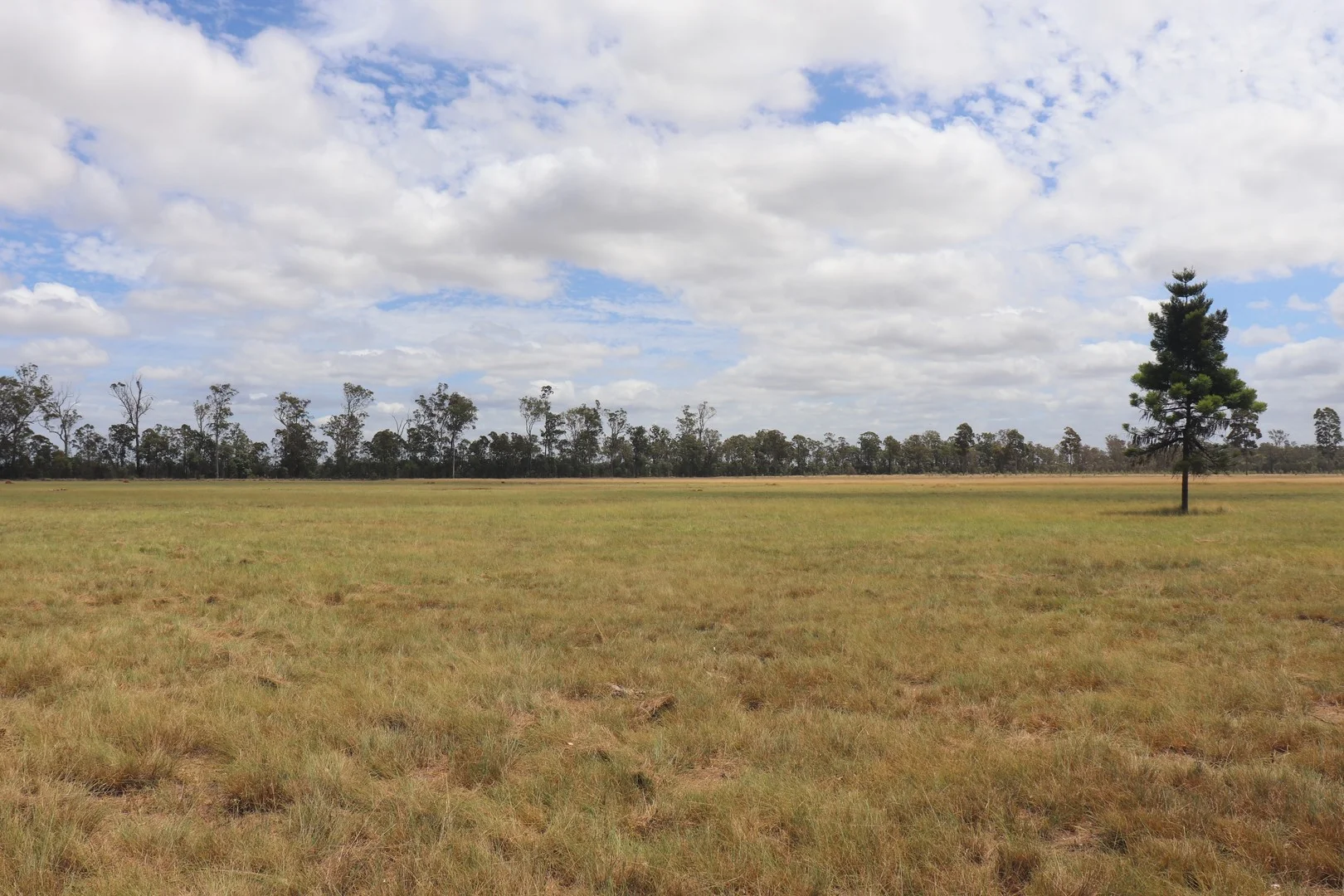 225 Beils Road (1/17)