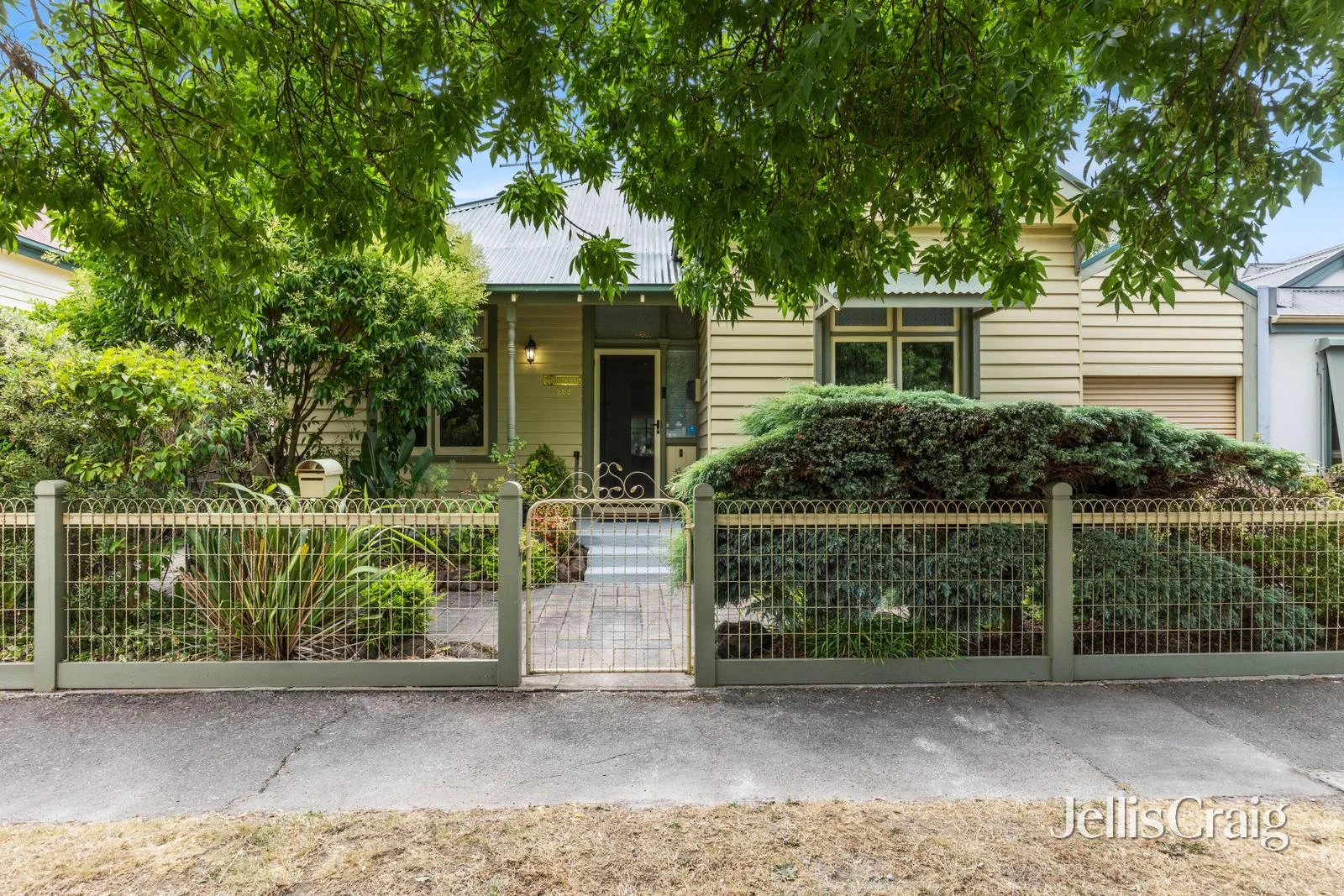 229 Raglan Street South (1/20)