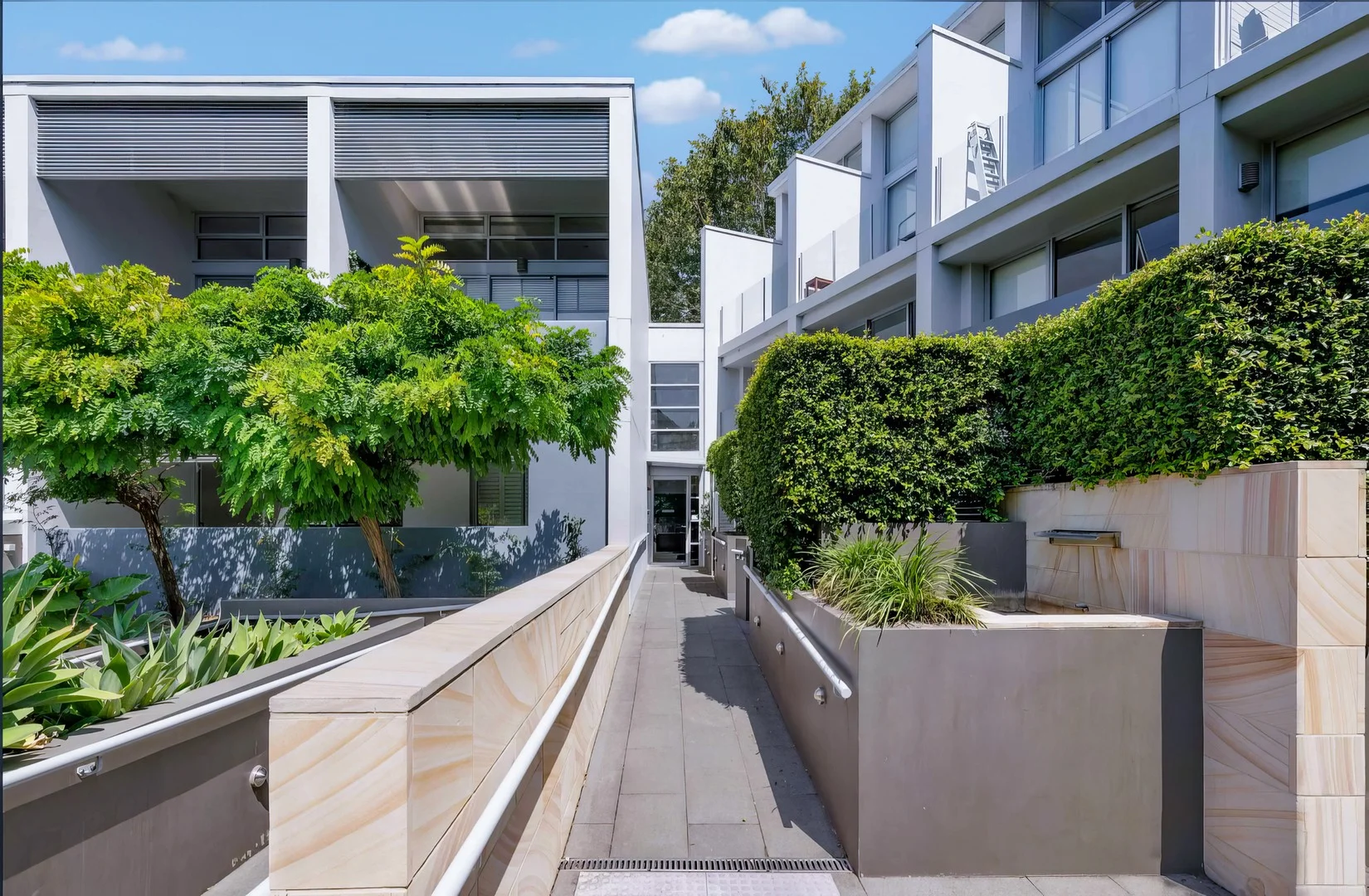 23/115 Wigram Rd (1/12)