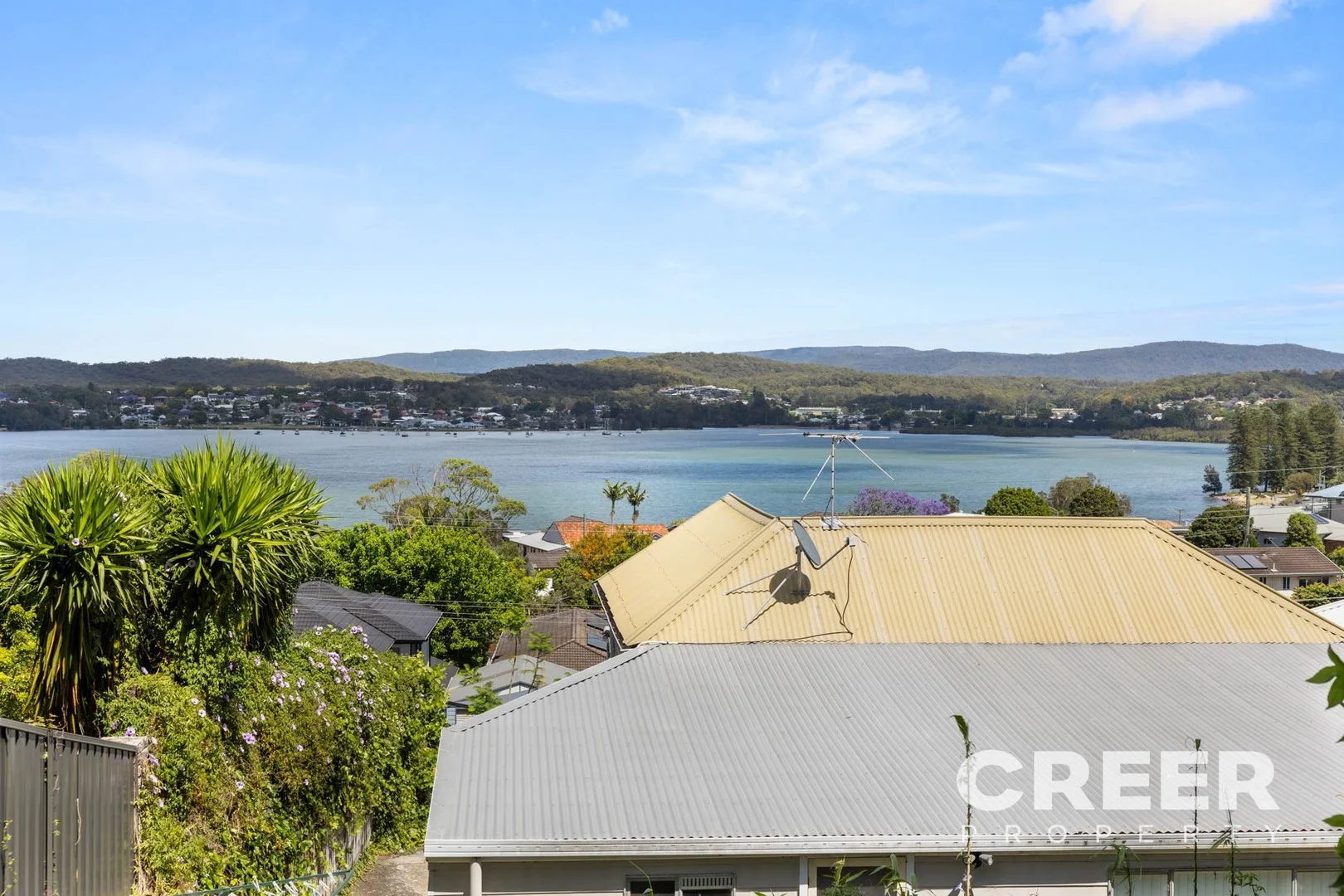 23 Speers Street (1/1)