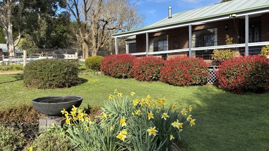 23 Trewins Lane (1/22)
