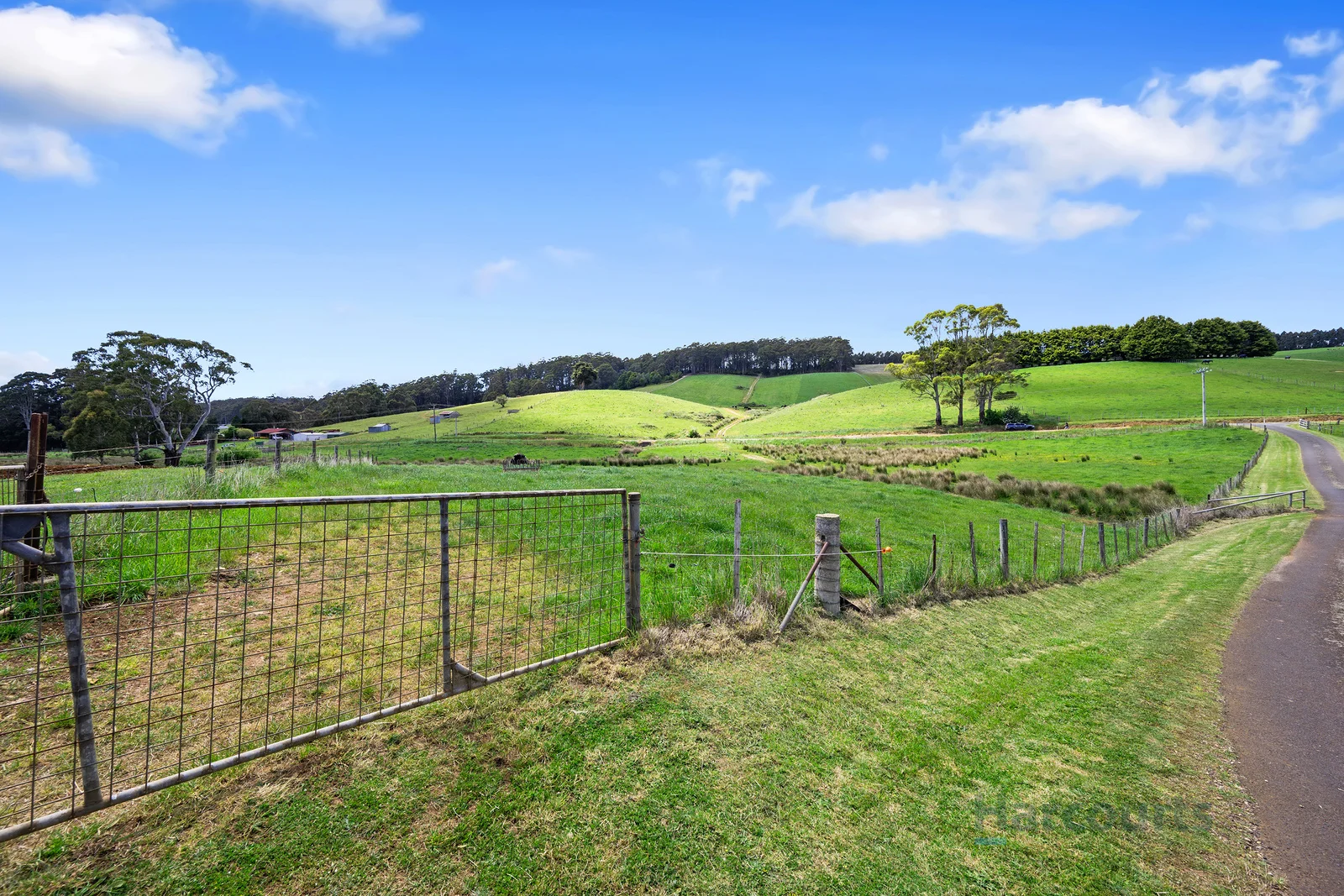 230 Castra Road - Image 5