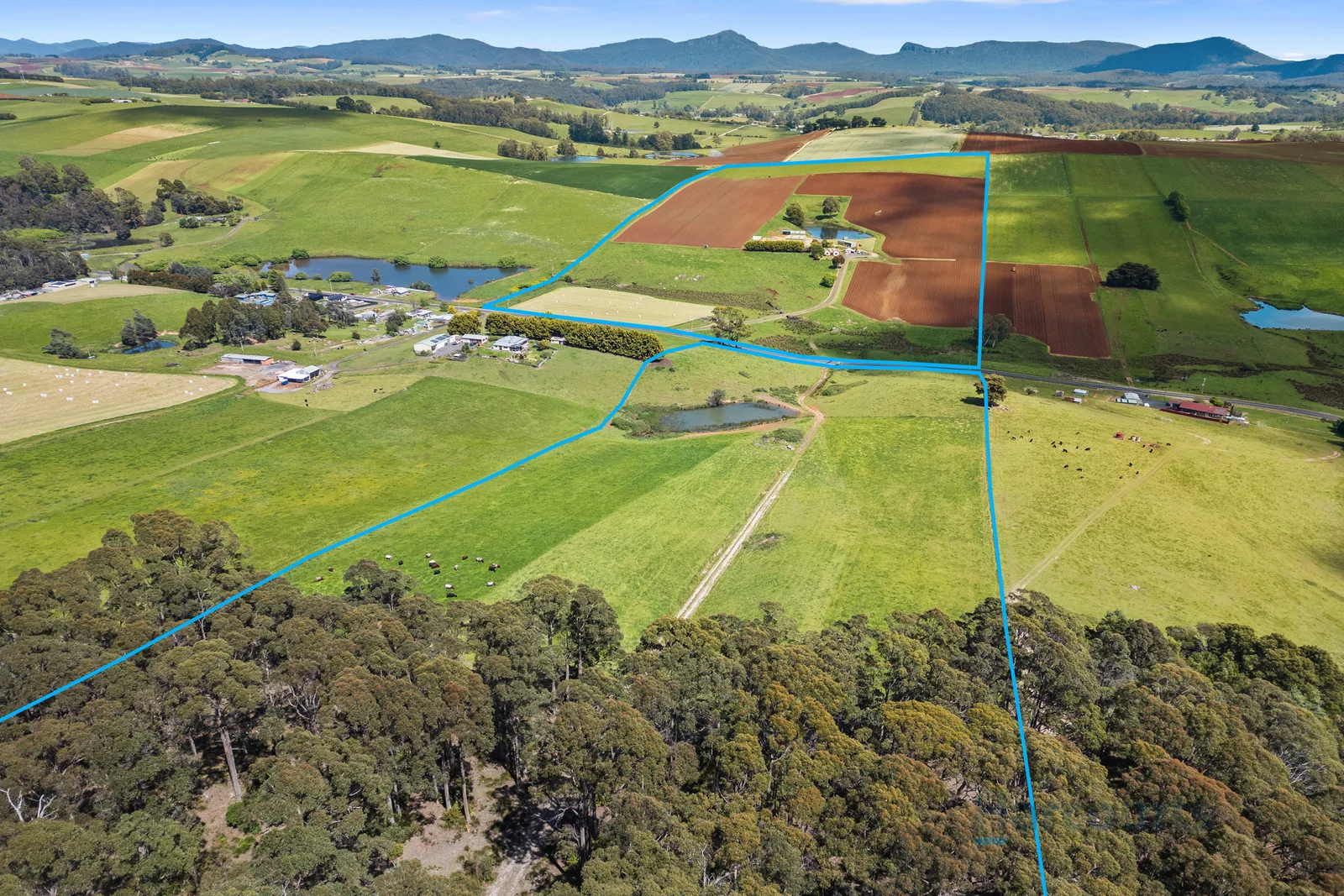 230 Castra Road - Image 3