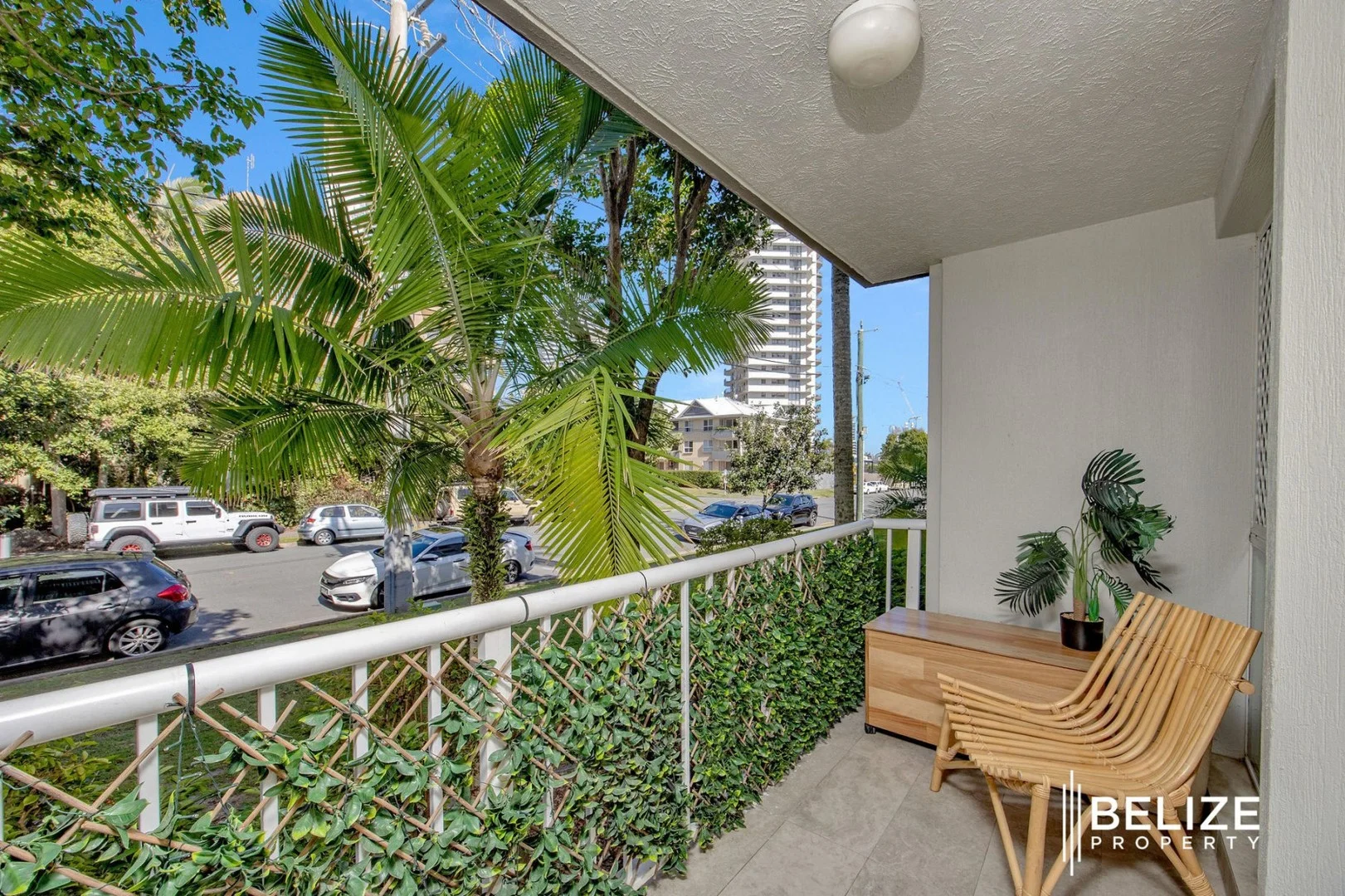 233/35-45 Palm Avenue (1/16)