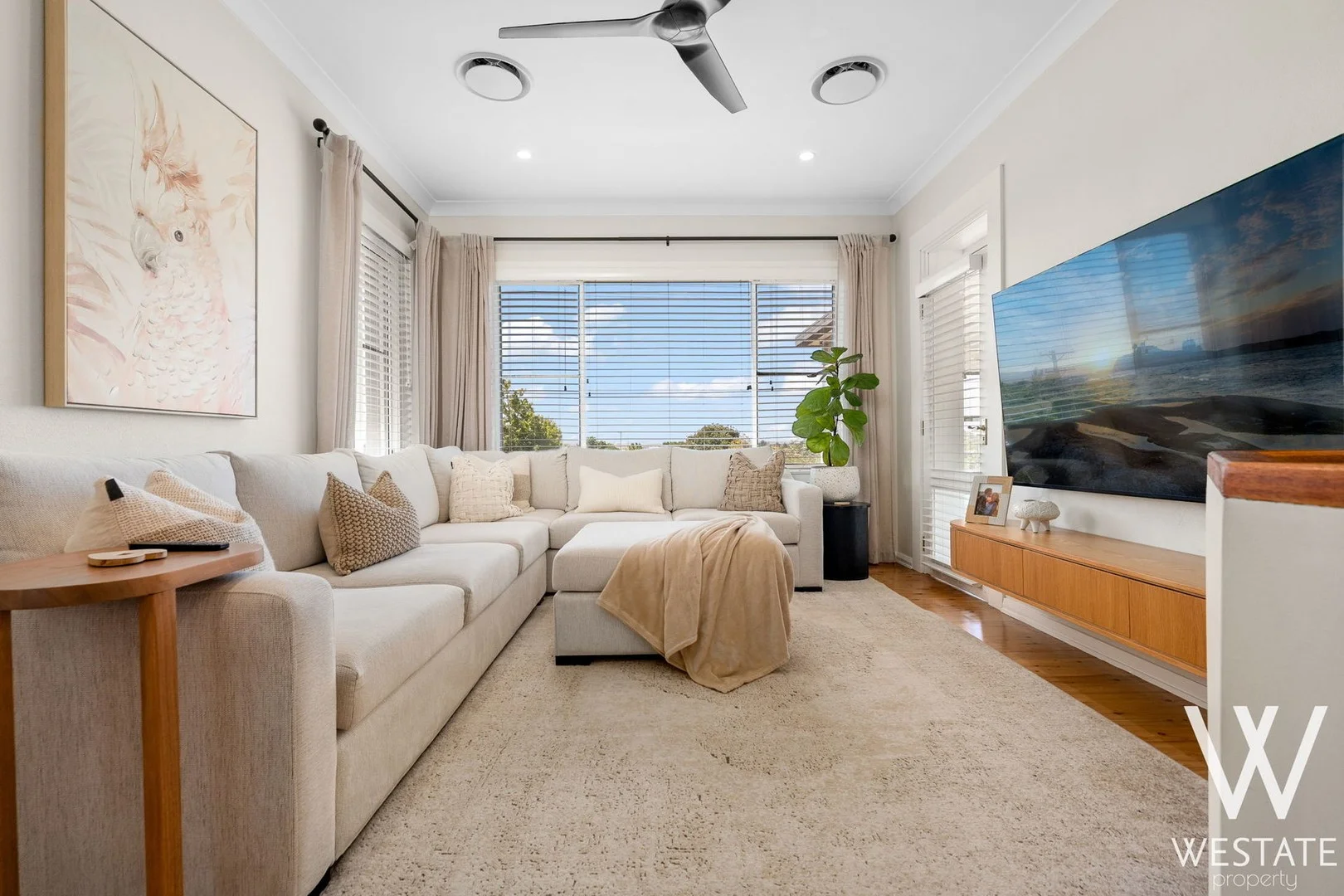 237 Peel Street (1/1)