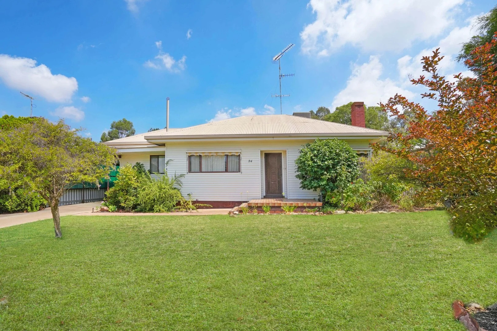 24 Curtin Street (1/1)