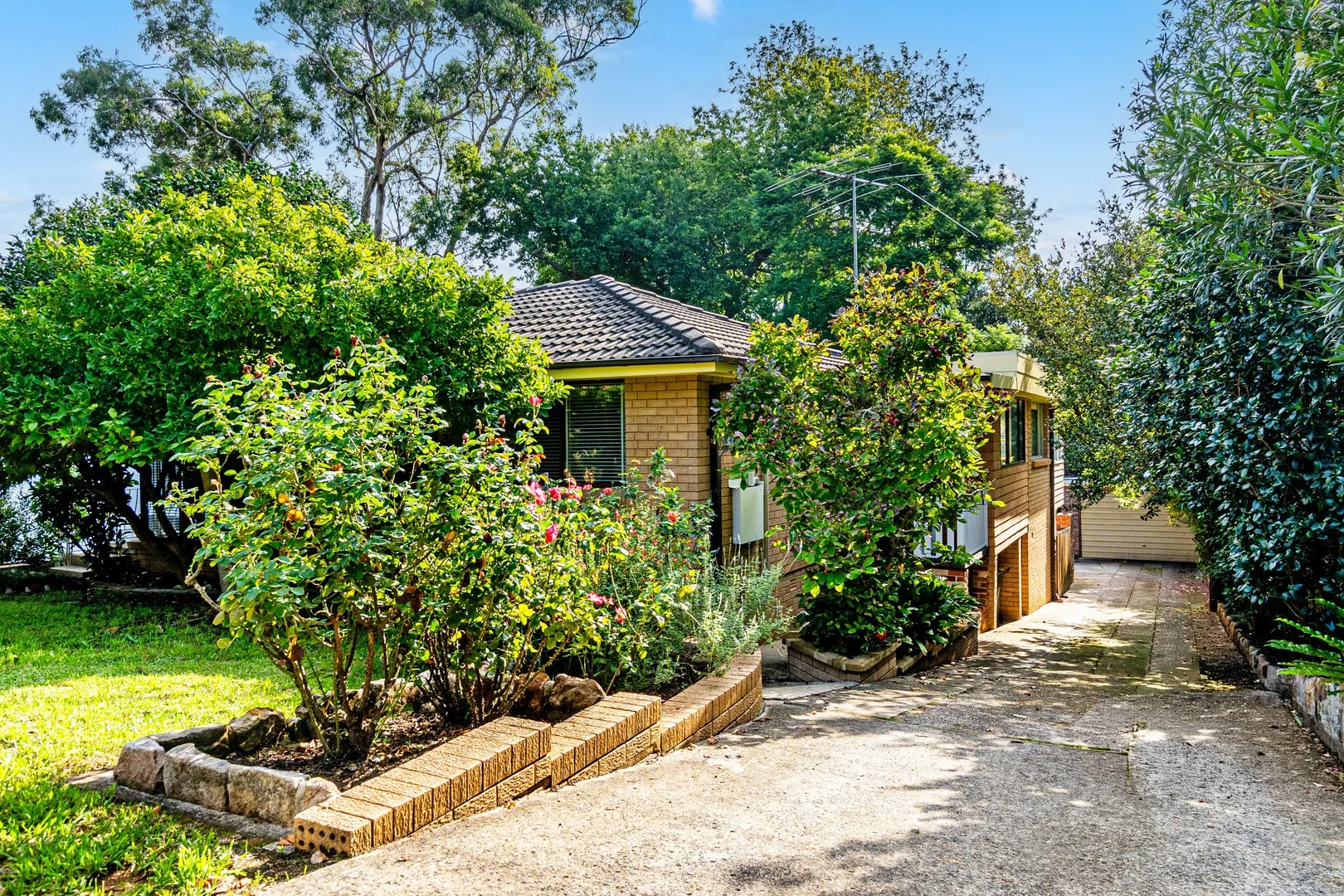 24 Orange Grove (1/21)