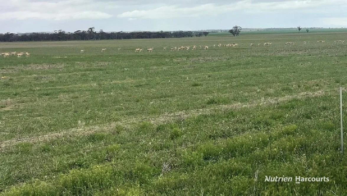 240 Corrigin-Narembeen Road - Image 3
