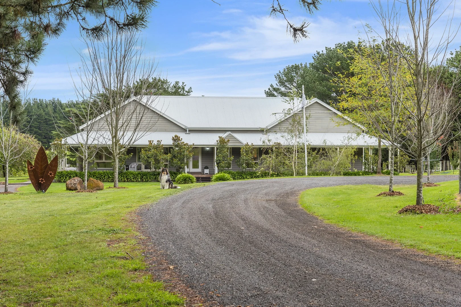 243 Knox Road (1/37)